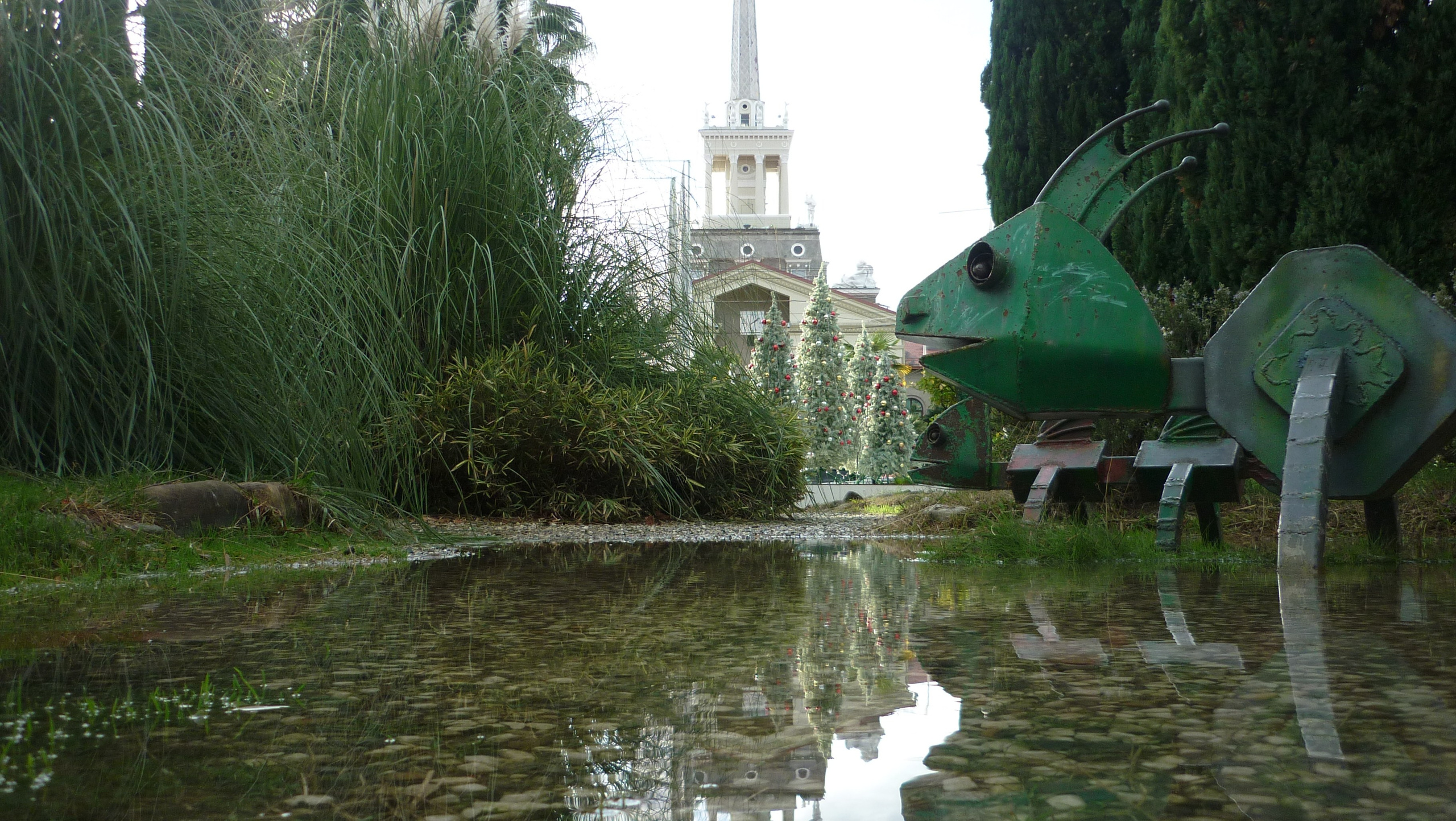 Фотографии Сочи, глазами гида-фотографа. Фотограф в Сочи Елена Лисотина. Фототуры в Сочи