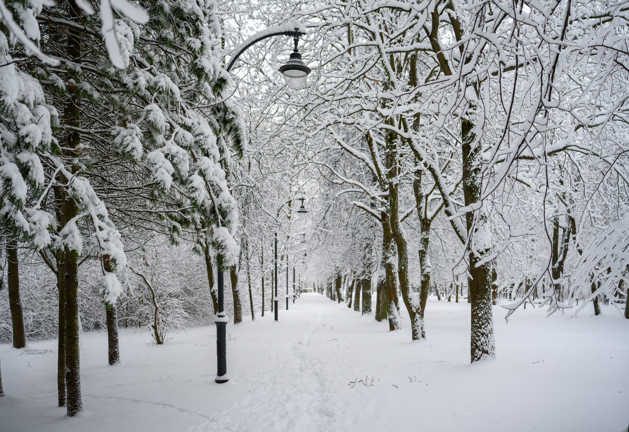 Landscape, nature, plants, details of the world around us. Personal website of photographer Dmitry Raikin