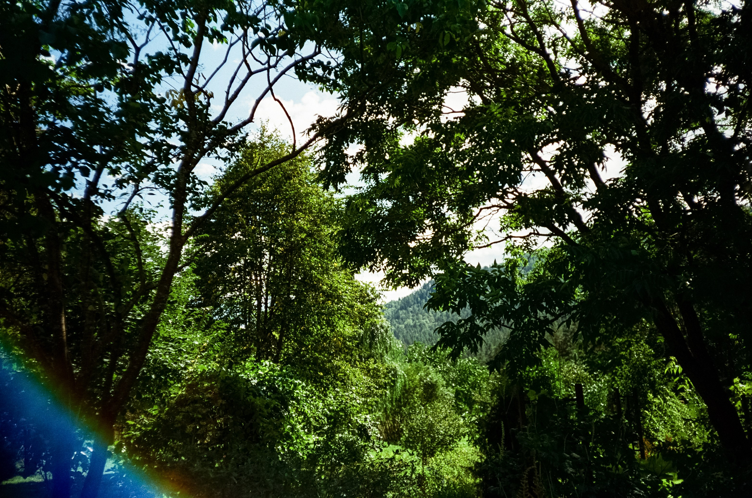 Ботанический сад и Шаманская поляна. Фотограф-документалист Мария Осокина