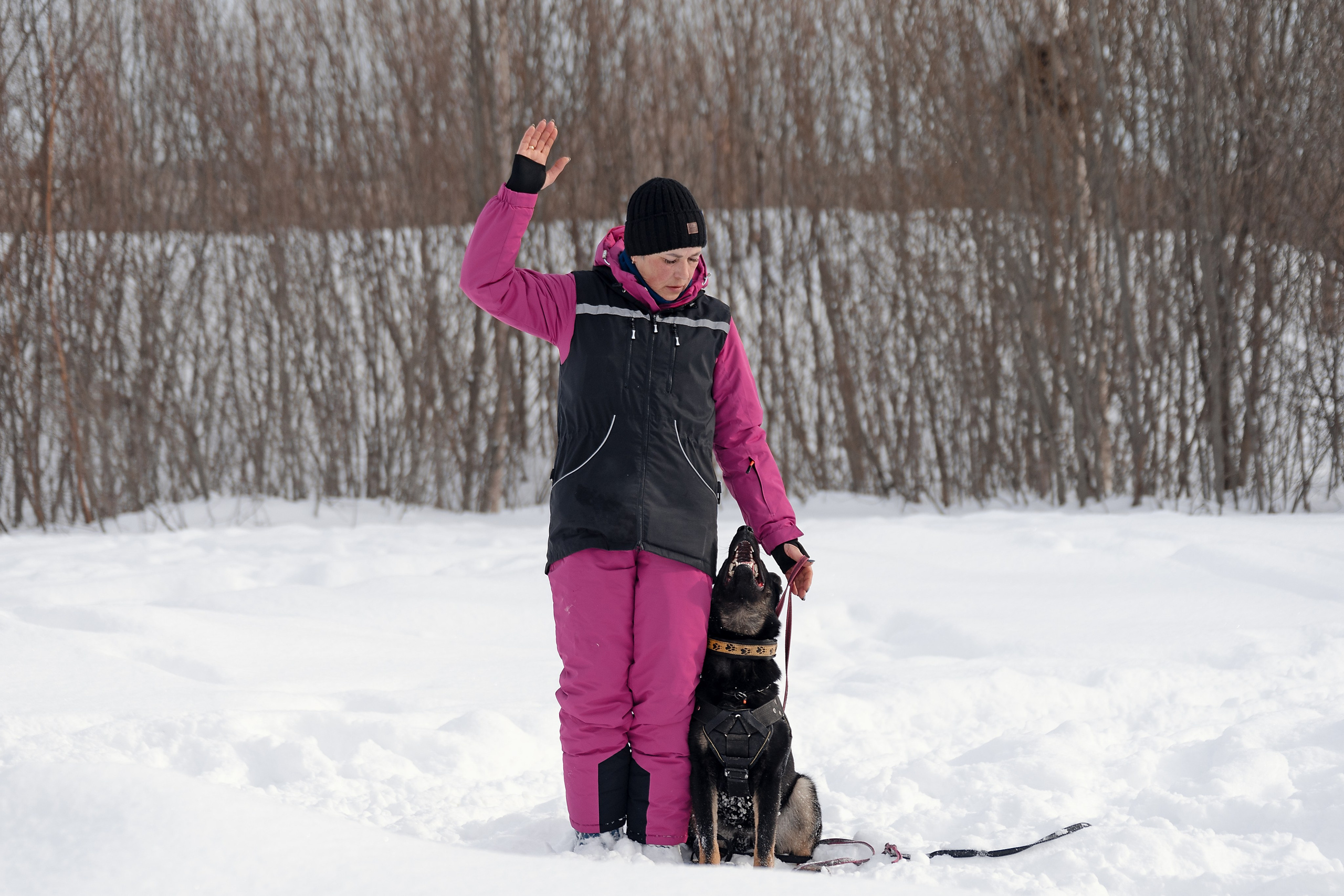 Репортажная съемка. Фотограф-анималист Нижний Новгород