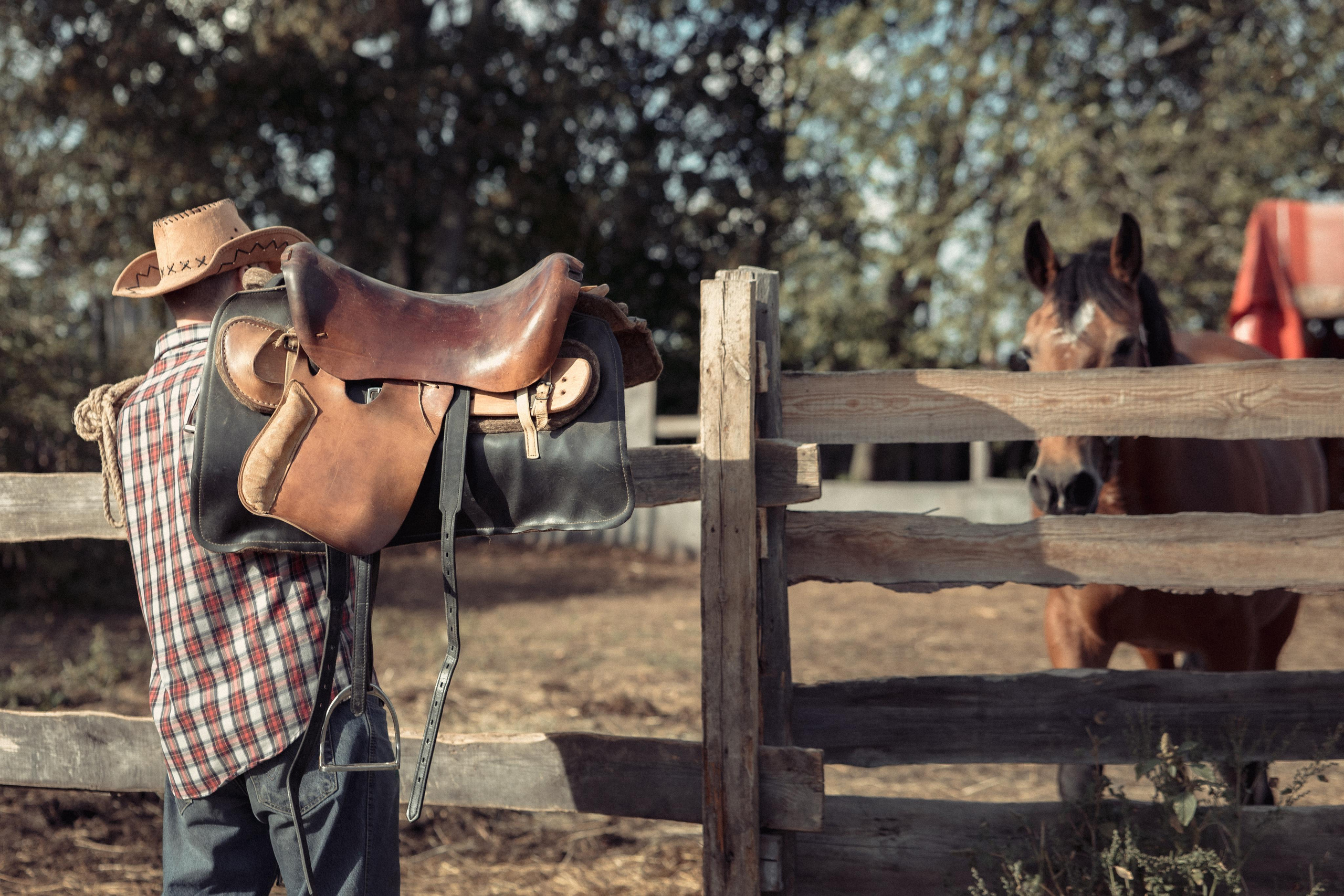 ТВОРЧЕСКАЯ. Фото, видео, авторские выпускные альбомы в Нижнем Новгороде
