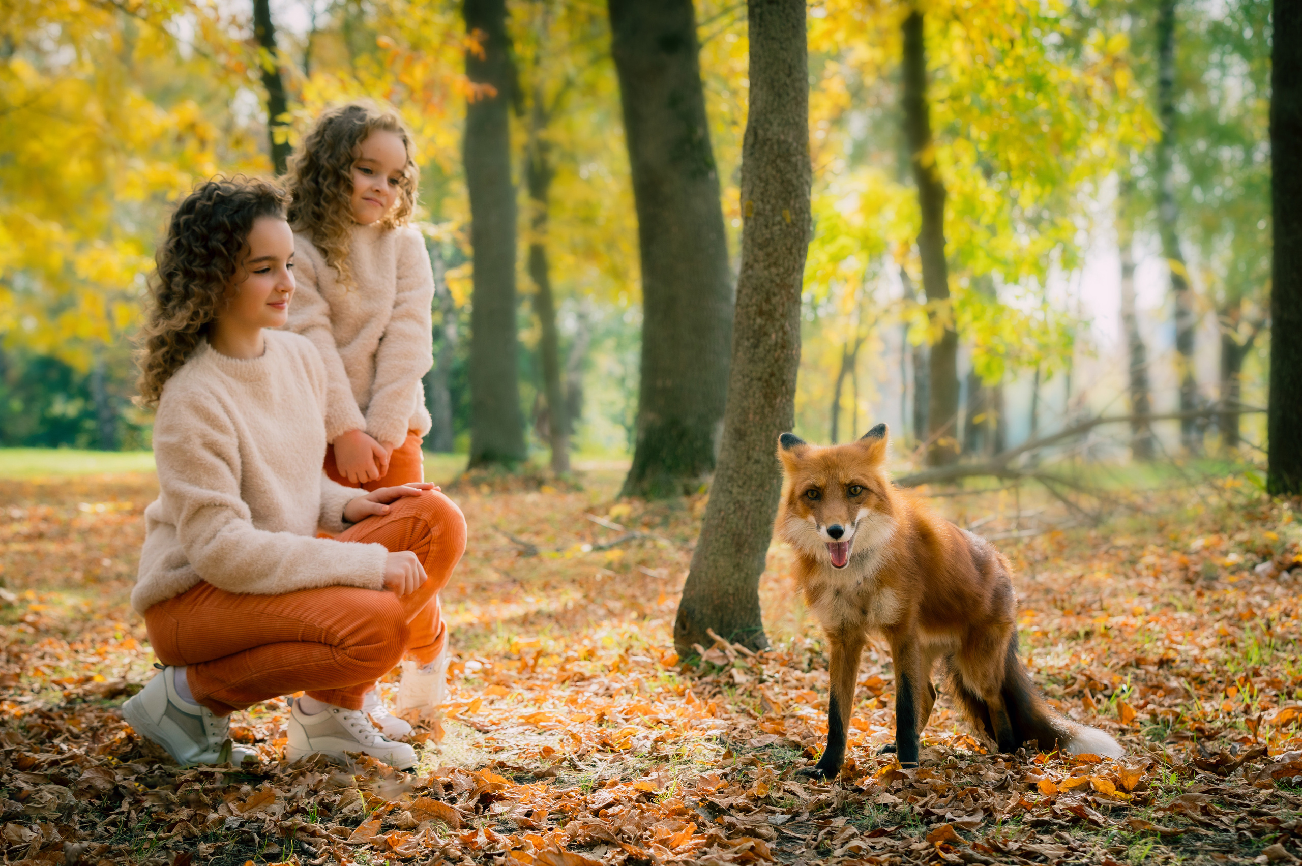 С ЖИВОТНЫМИ. Фото, видео, авторские выпускные альбомы в Нижнем Новгороде
