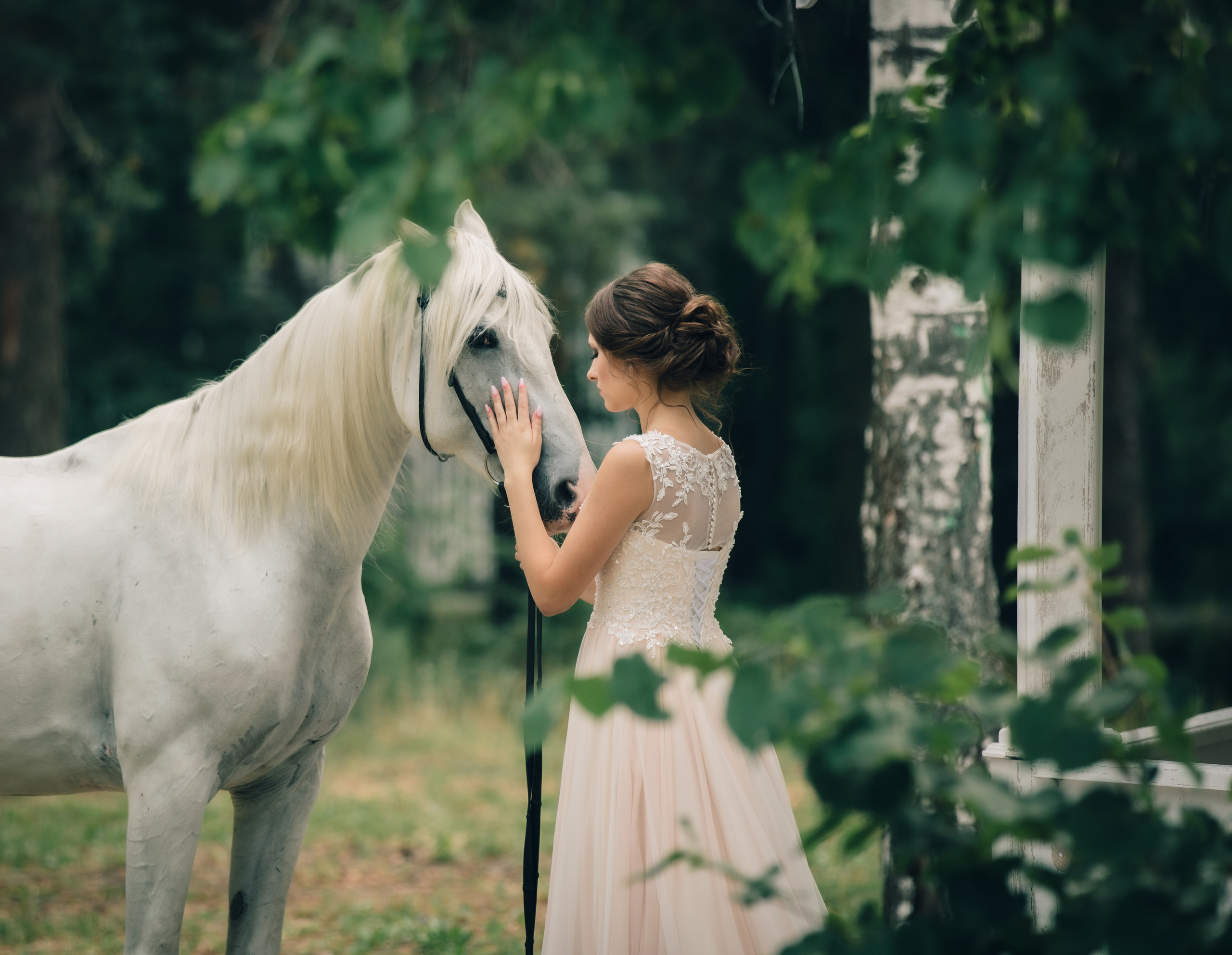 ТВОРЧЕСКАЯ. Фото, видео, авторские выпускные альбомы в Нижнем Новгороде