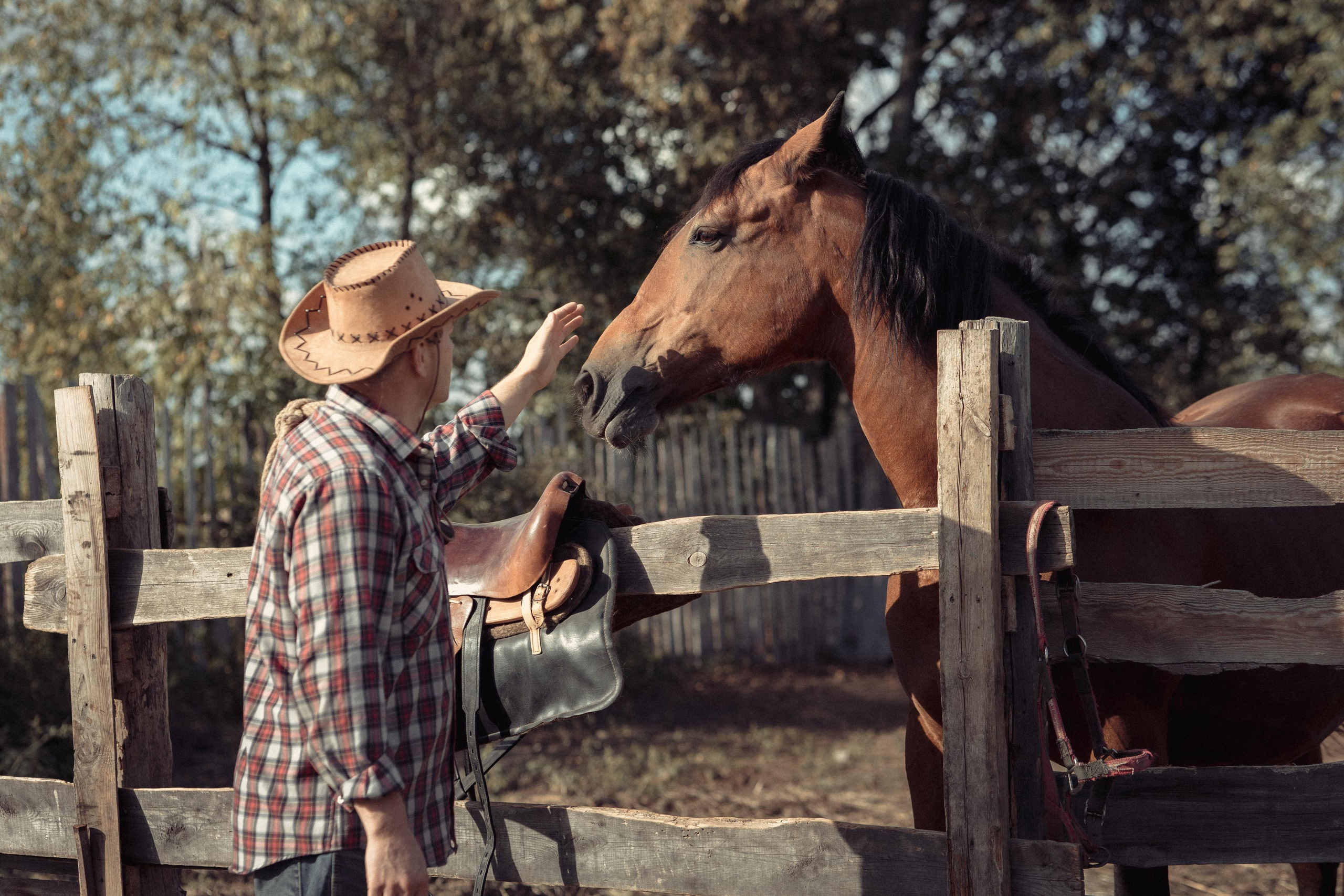 ТВОРЧЕСКАЯ. Фото, видео, авторские выпускные альбомы в Нижнем Новгороде