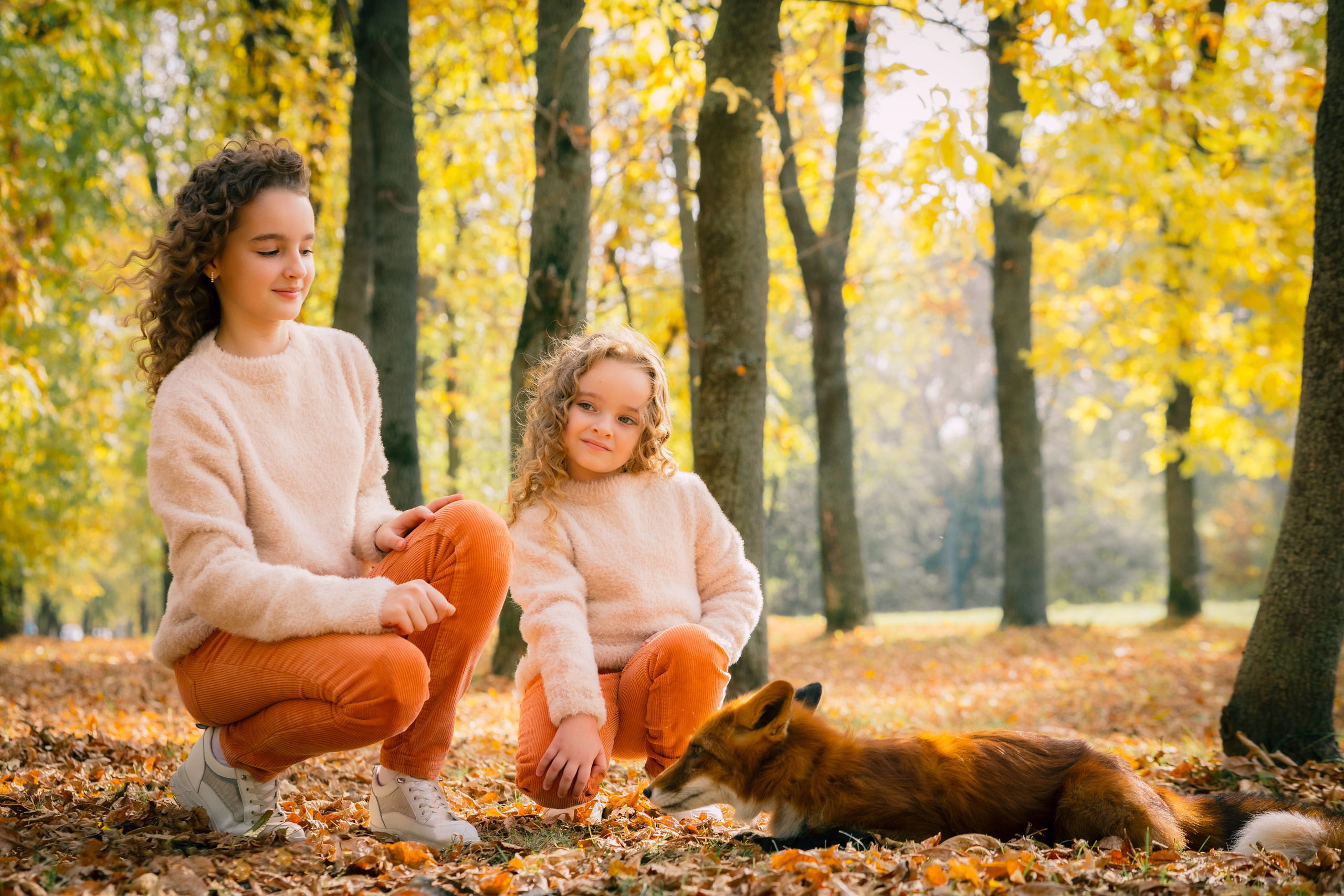 С ЖИВОТНЫМИ. Фото, видео, авторские выпускные альбомы в Нижнем Новгороде