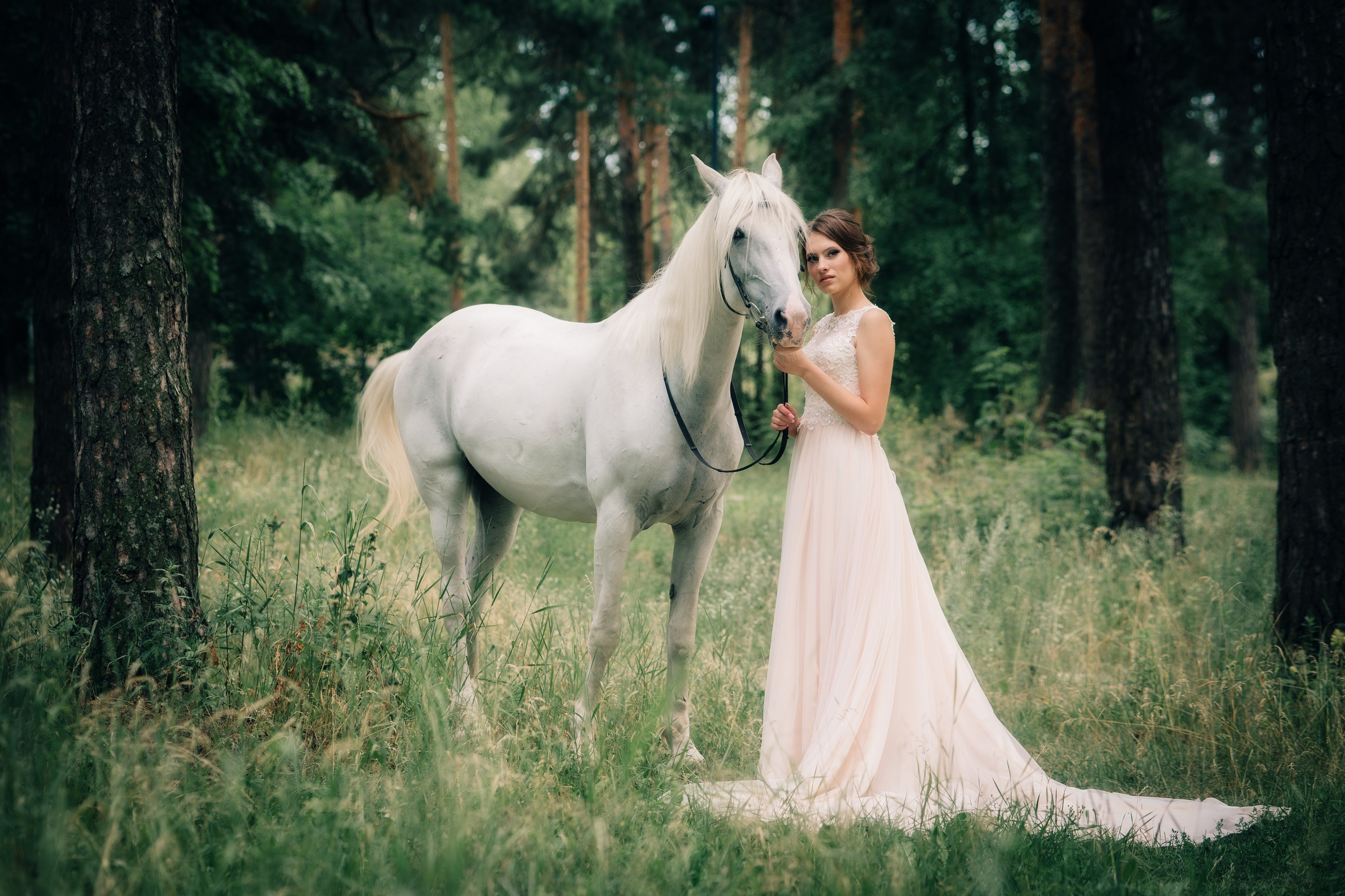 С ЖИВОТНЫМИ. Фото, видео, авторские выпускные альбомы в Нижнем Новгороде