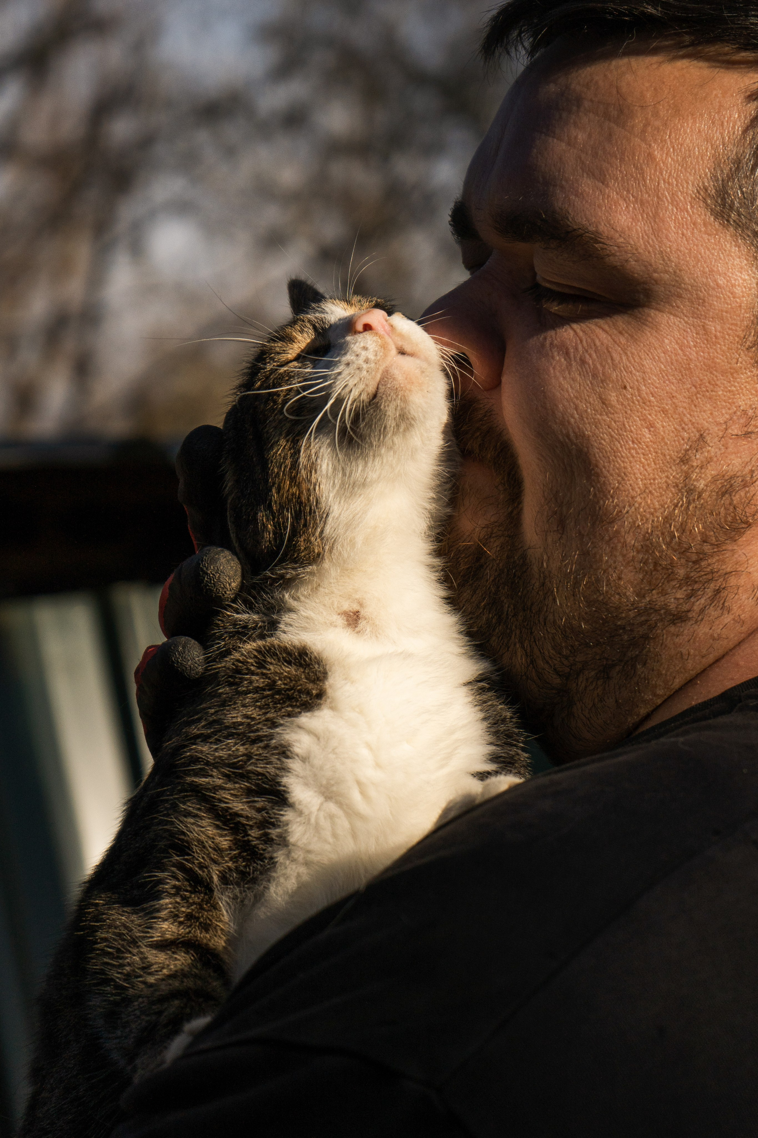 Хвостики. Oljoy.ph — photographer in Minsk