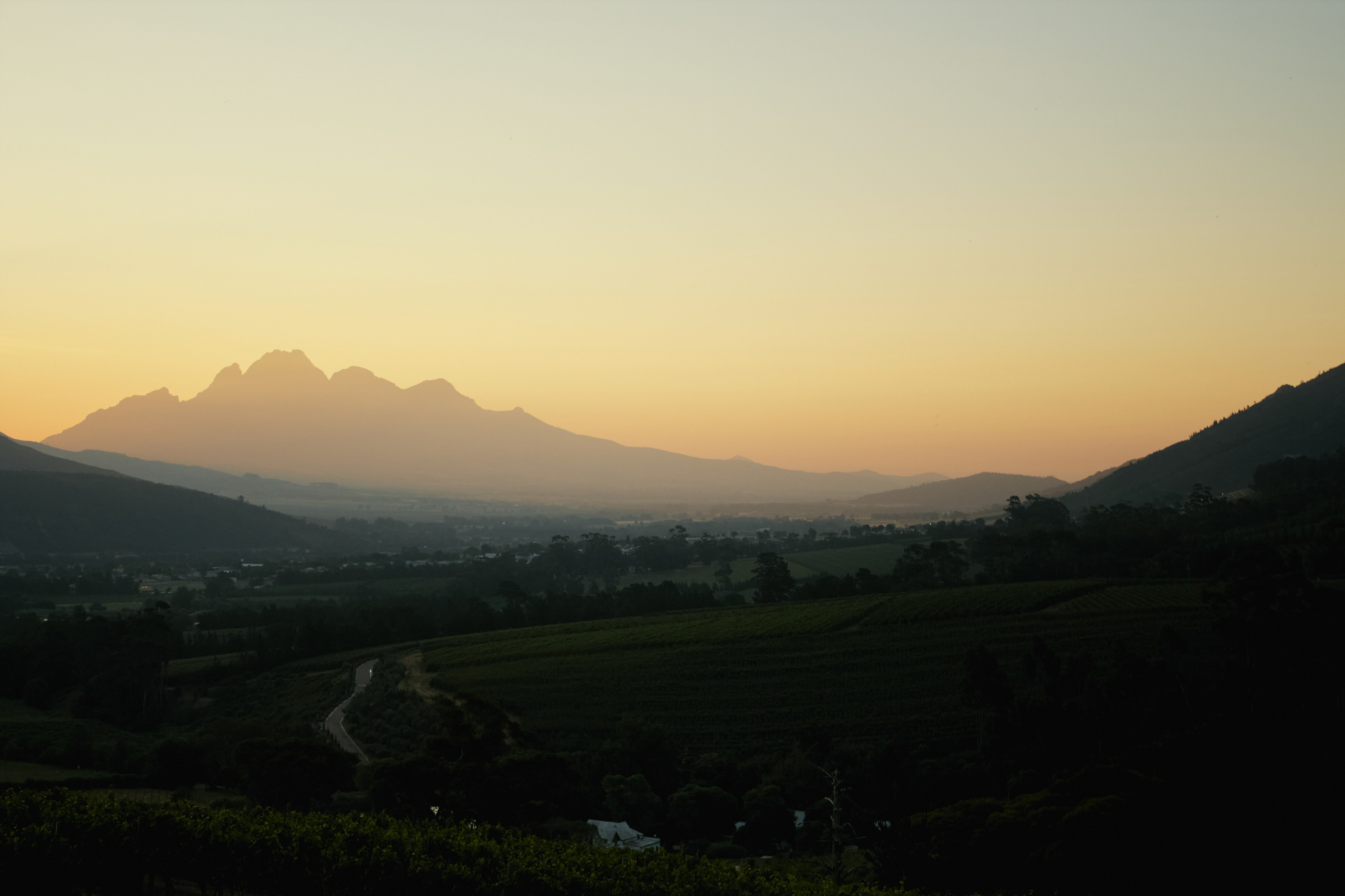 ЮАР. Профессиональный Фотограф во Владимире, в Москве и в Суздале — Полина Романычева