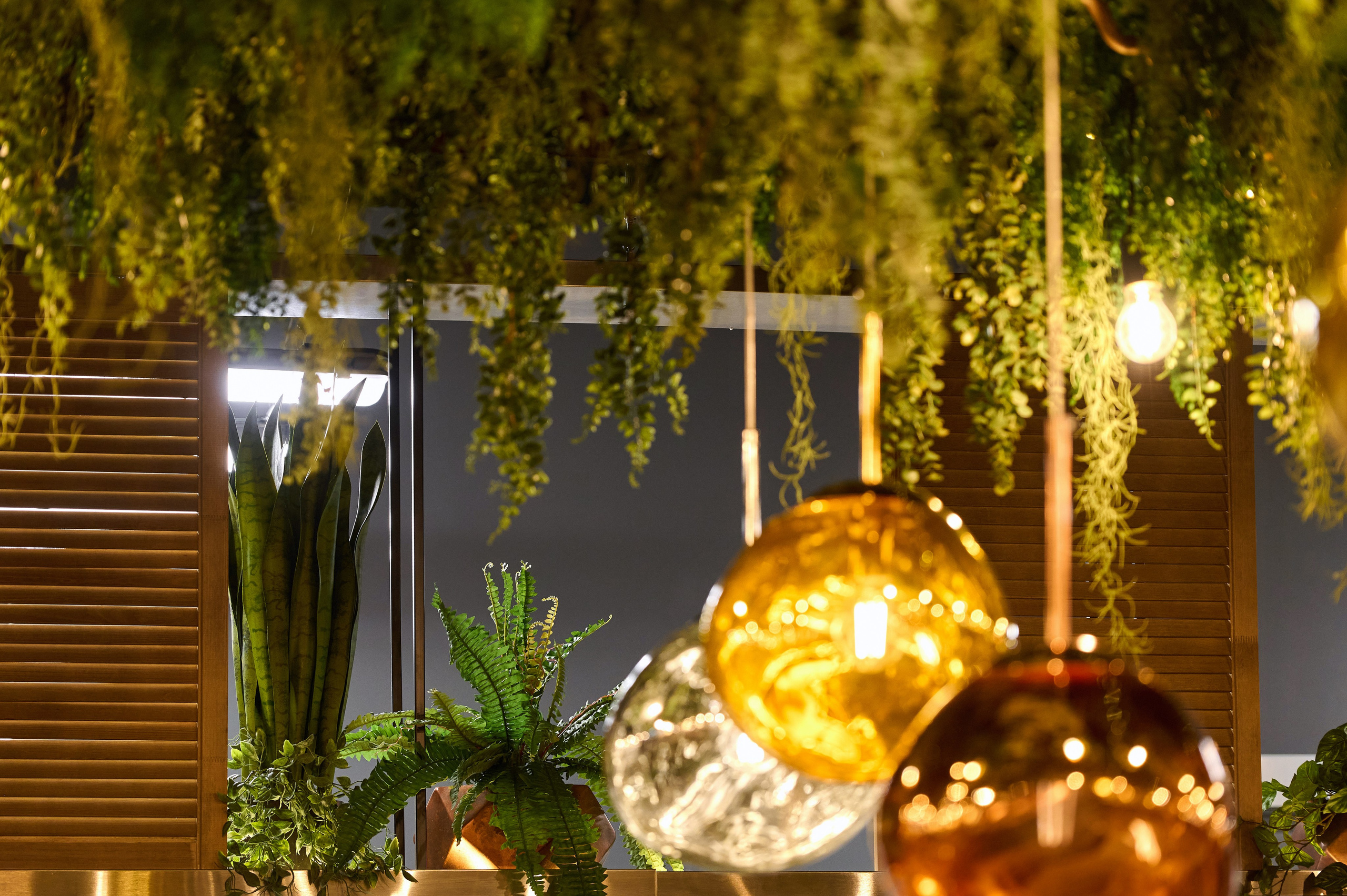 Перчини. Фотограф Опыт Качество Скорость Горный Алтай Барнаул