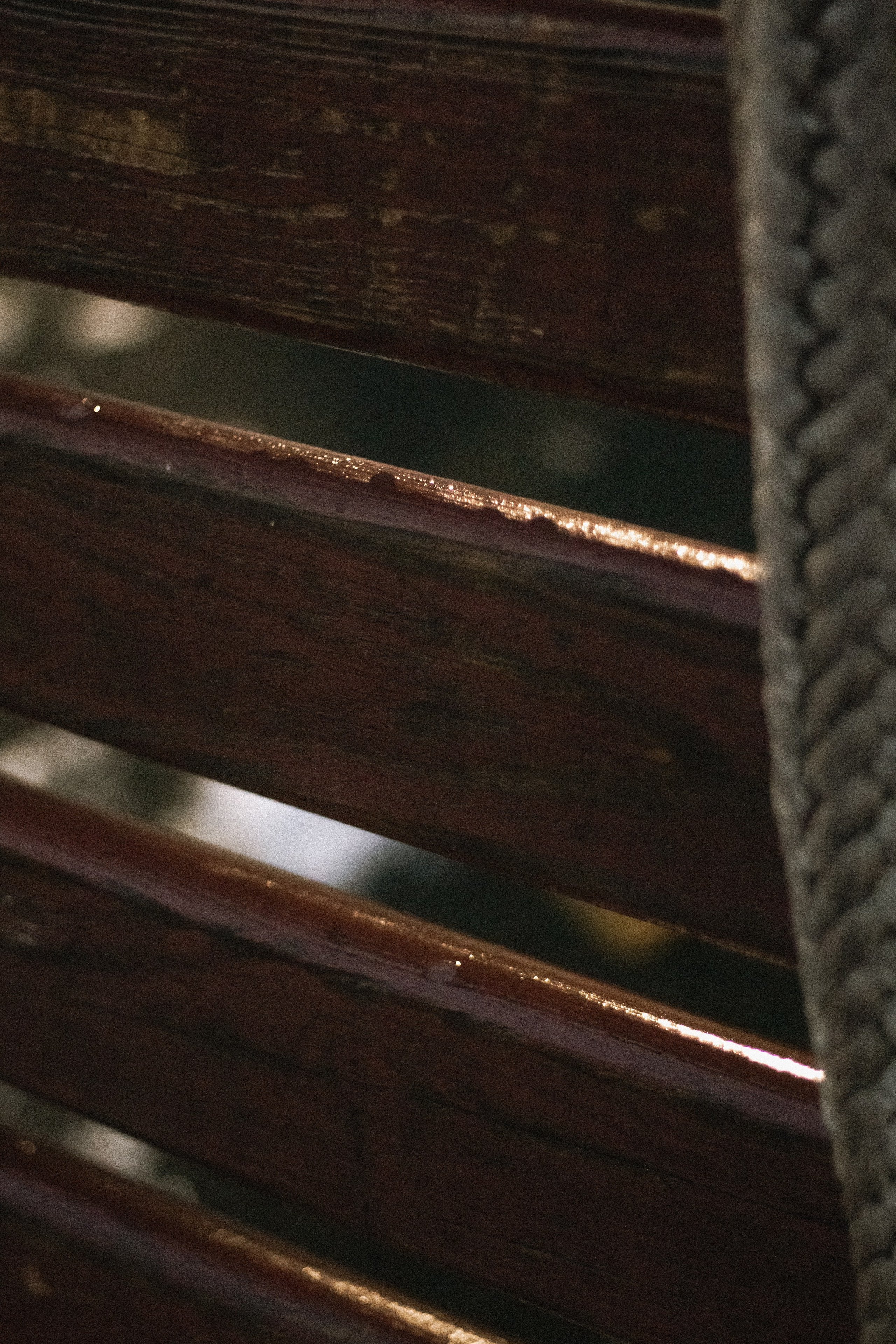 Осень-зима. Фотограф Москва, портрет, стрит, репортаж. Художественная фотосессия