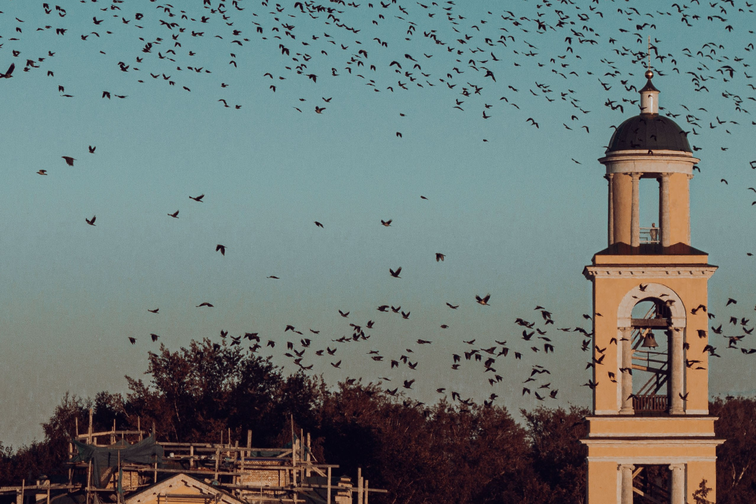 Репортаж. Фотограф Москва, портрет, стрит, репортаж. Художественная фотосессия
