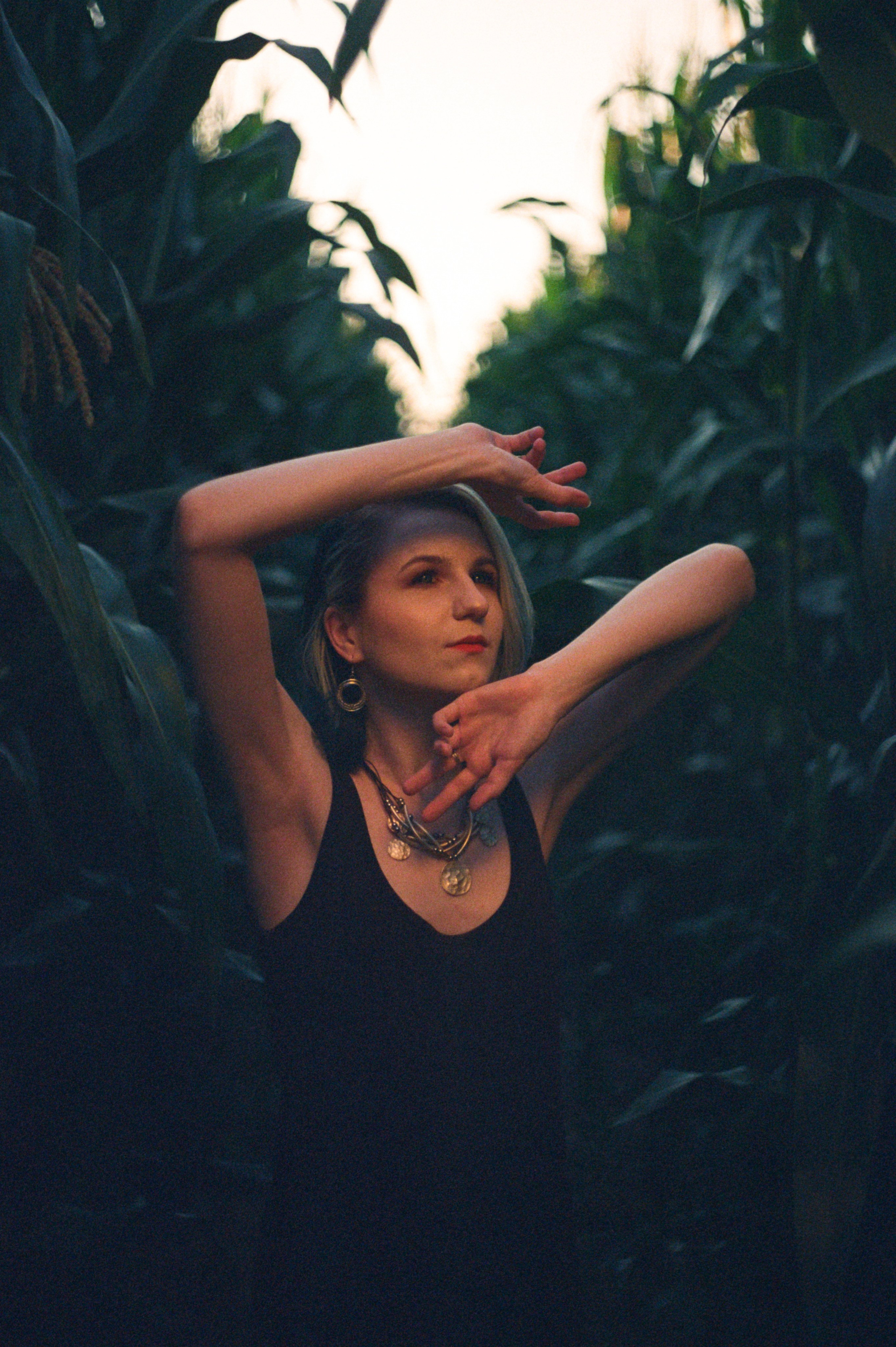 В кукурузе…. Стас Никоненко • Кинооператор • Фотограф