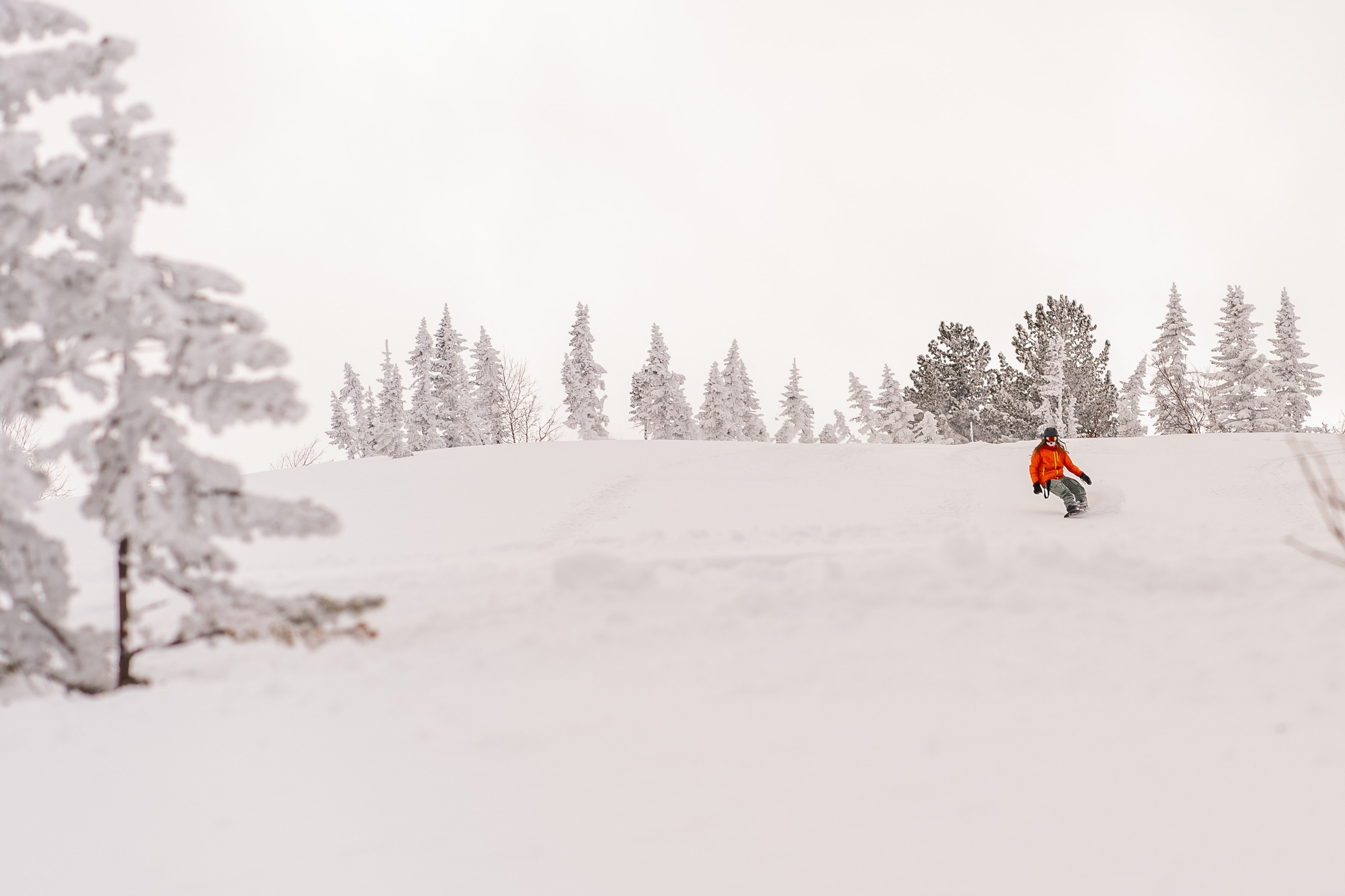 Фрирайд. Анастасия Паршукова — фотограф Шерегеш Новосибирск