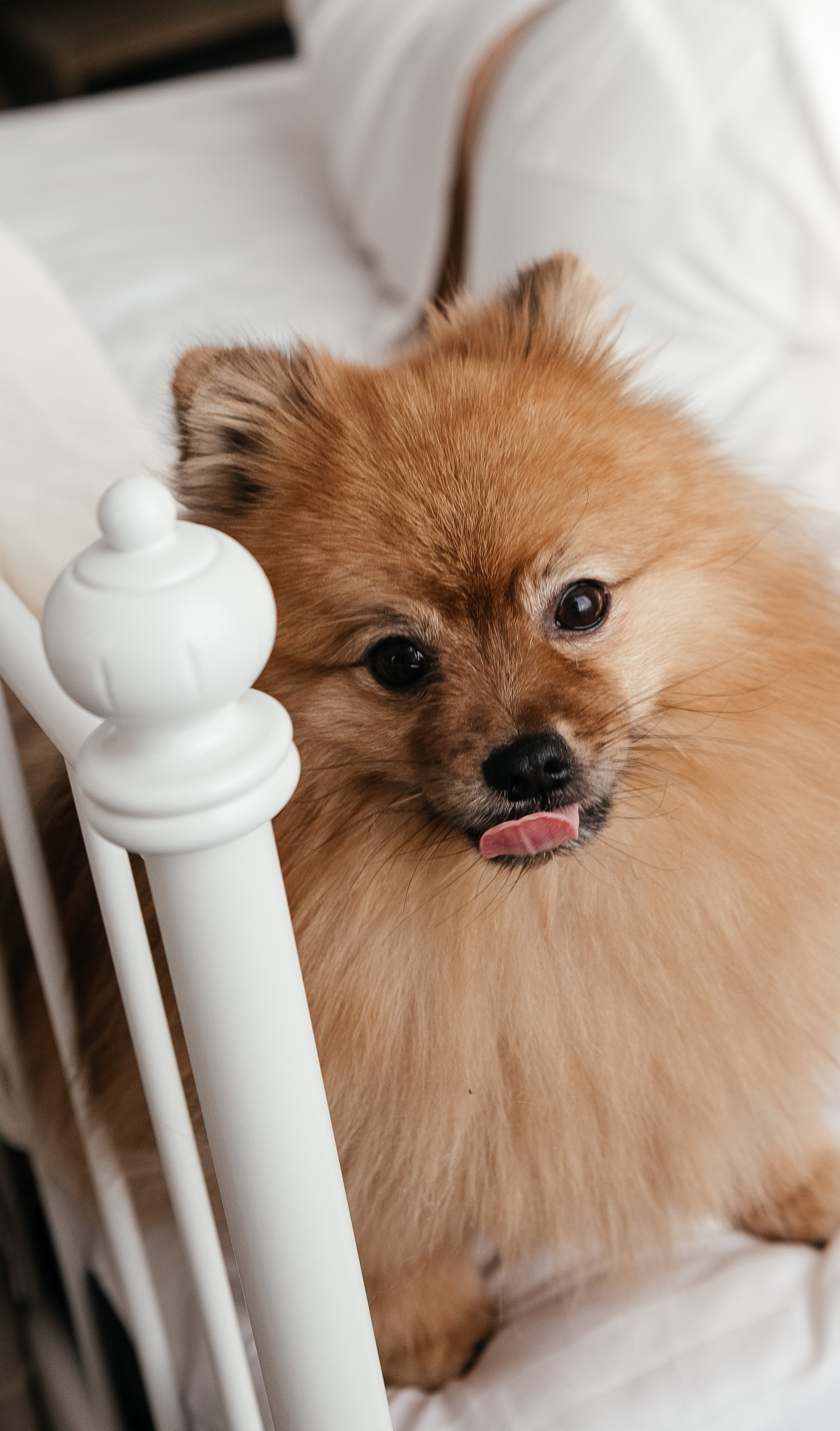 Семейный и свадебный фотограф в Томске | Екатерина Дворецкая