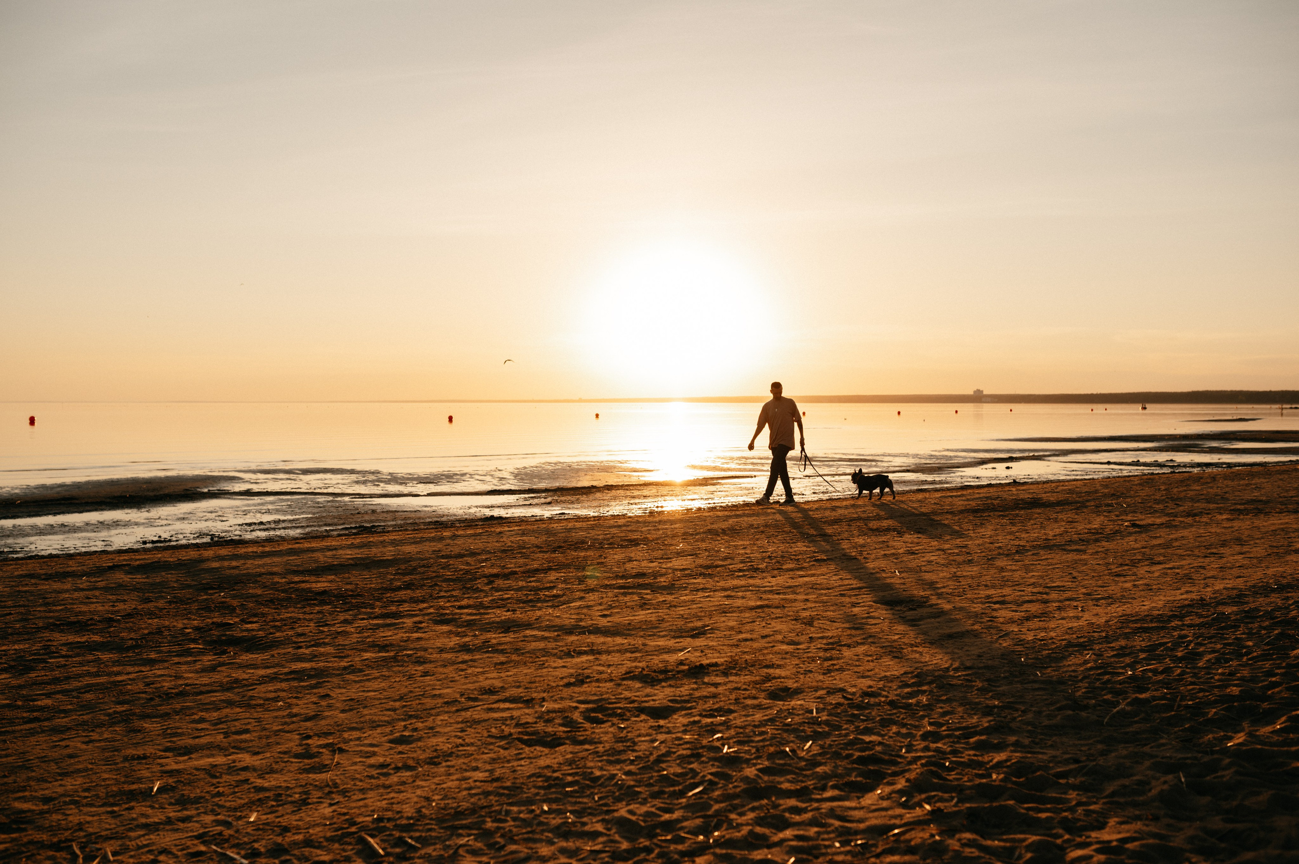 Коля и Бакс. Фотограф анималист в Москве Ольга Агушева