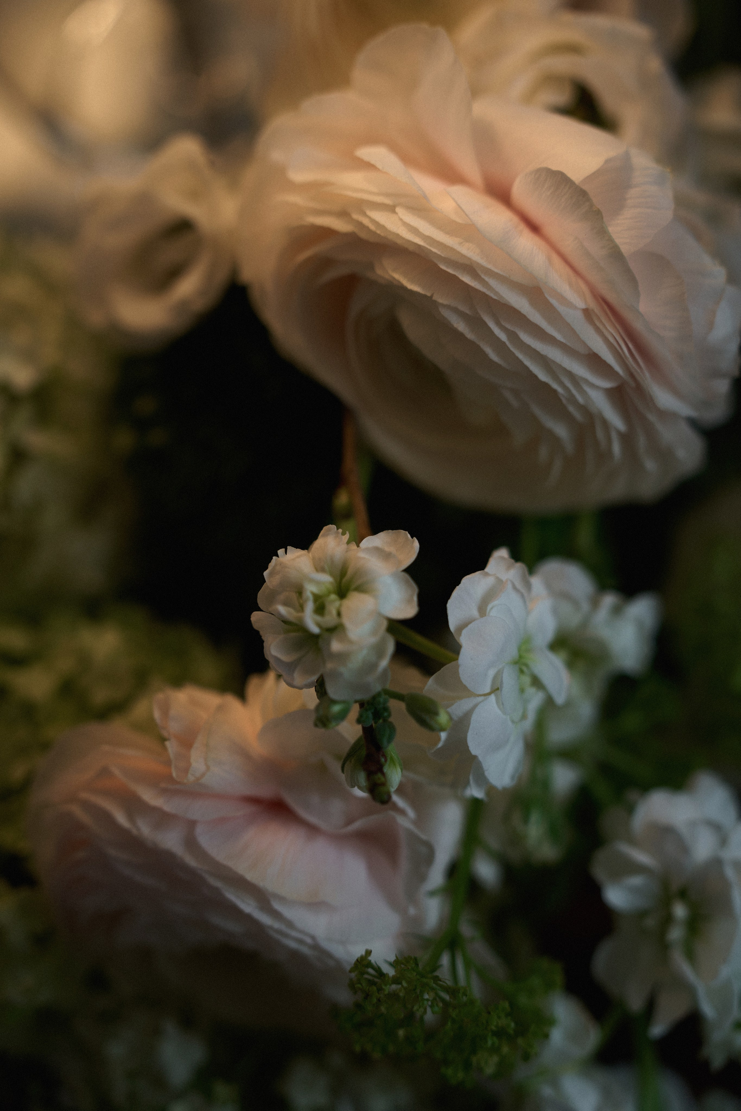 Максим и Анжелика. Фотограф из Владивостока Юлия Черепова