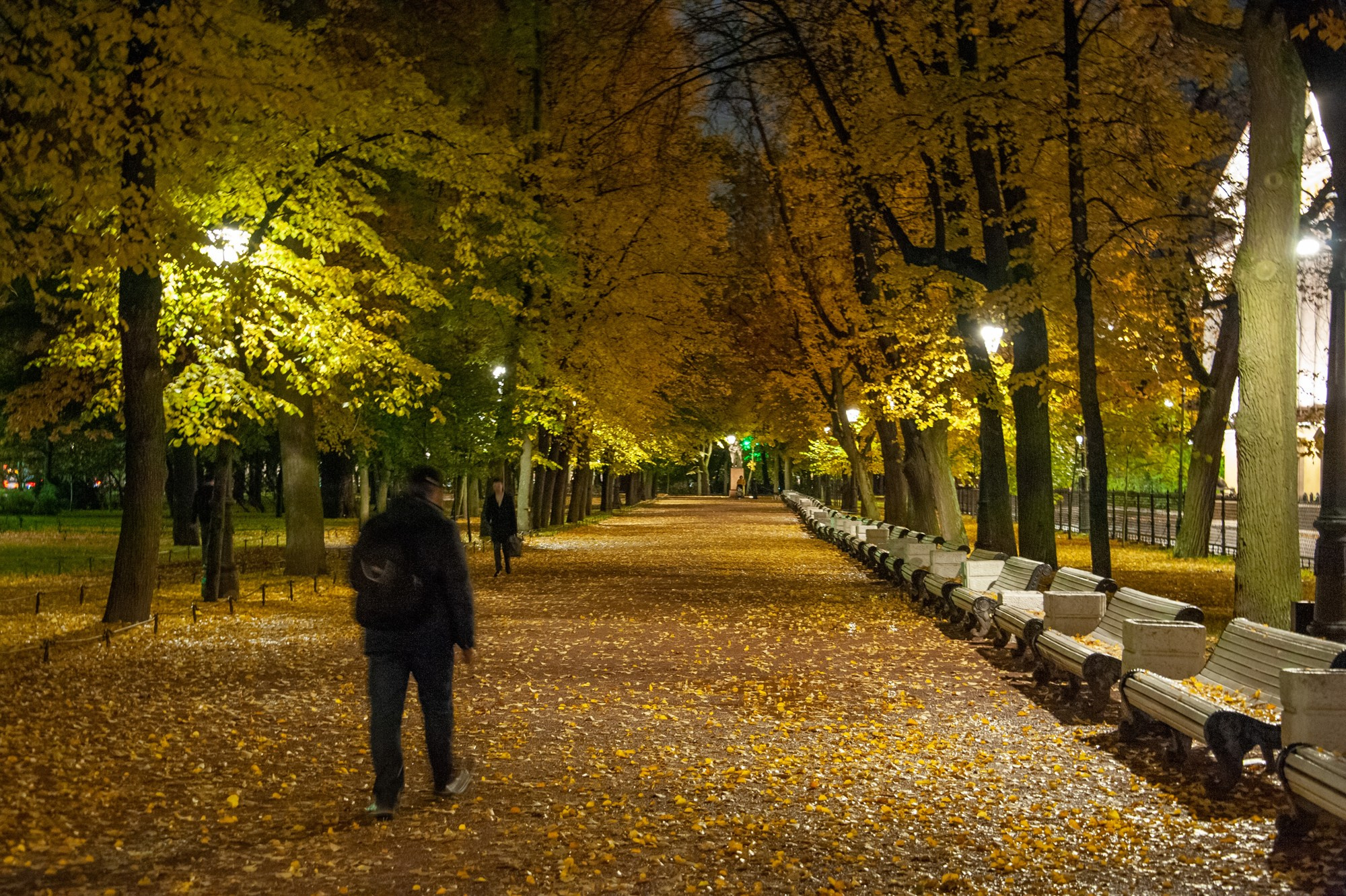 Вечерний Питер. Фотостудия Портрет Свадебный и семейный фотограф в Рязани
