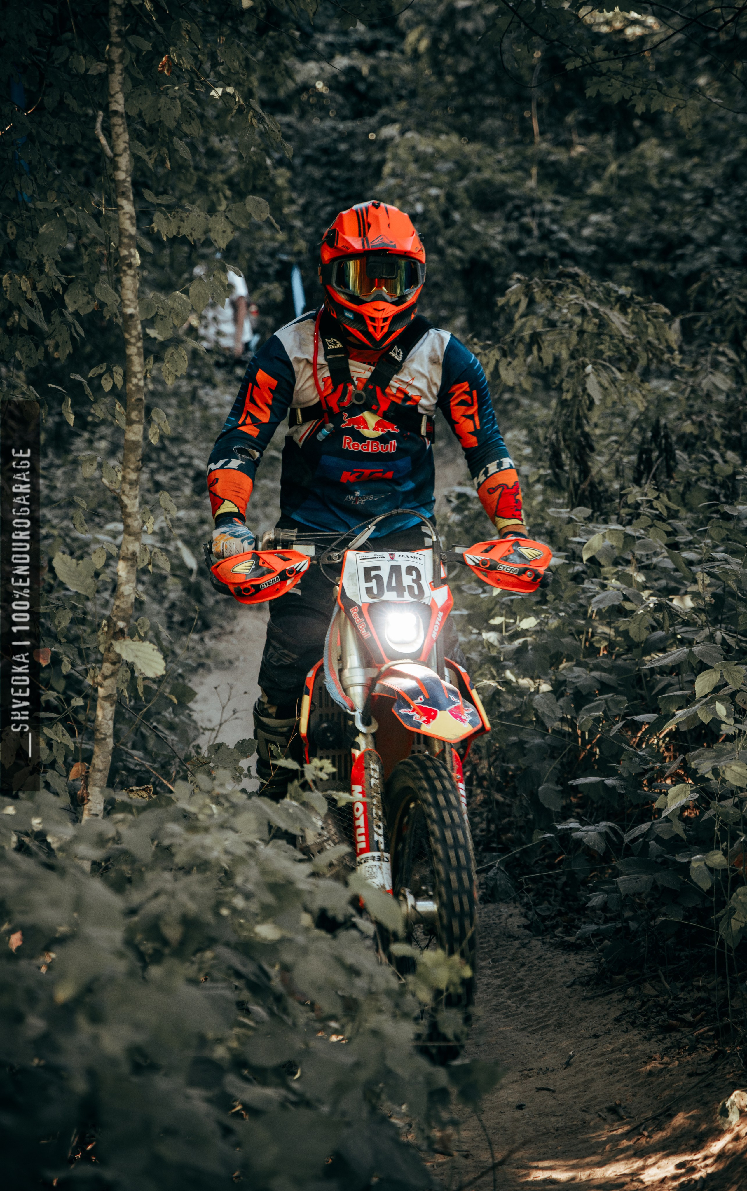 1 лесной день. Ваш экстрим фотограф Кудрева Яна