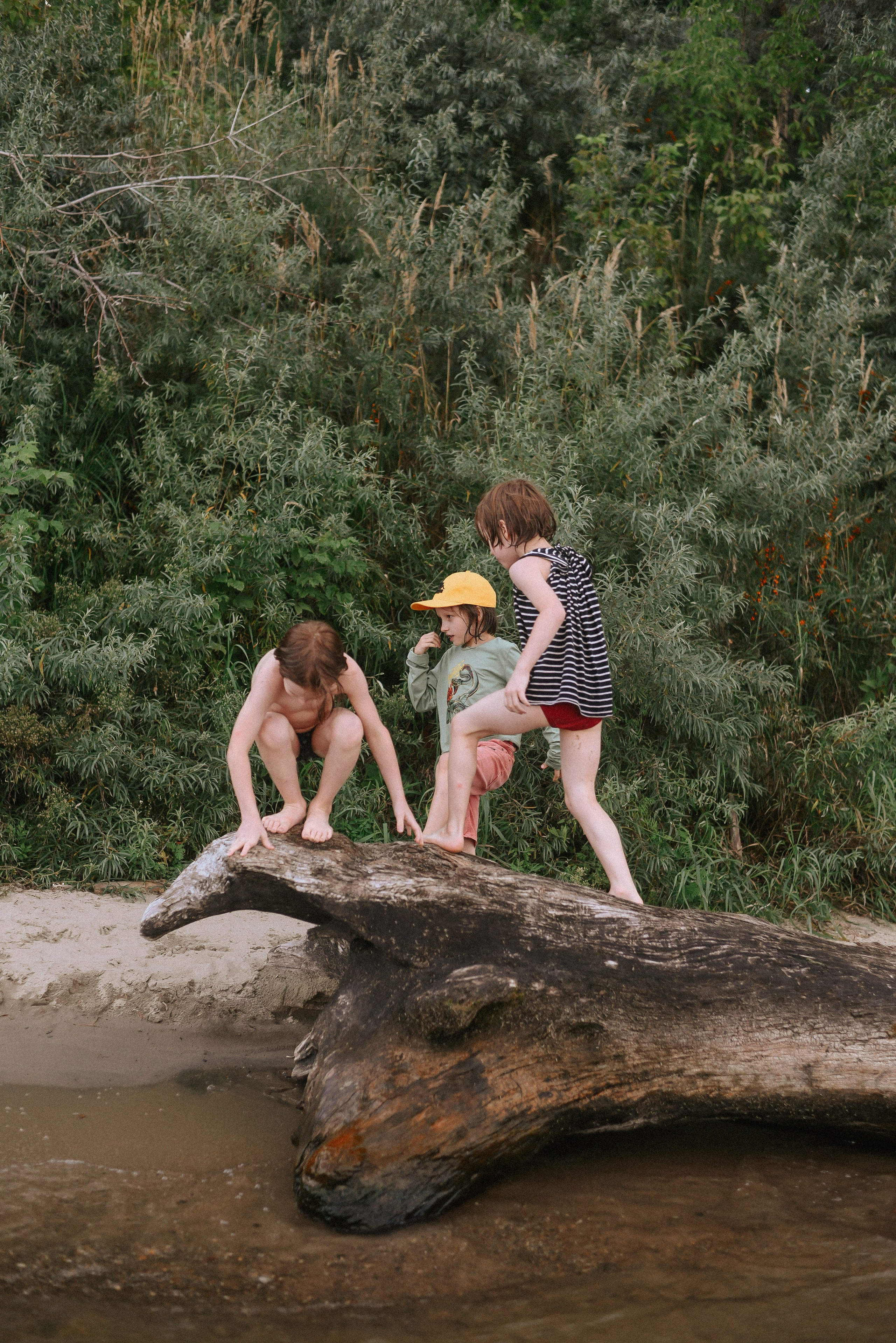 Берег, рак и капибара. Детский и семейный фотограф в Новосибирске Саша Дорошенко