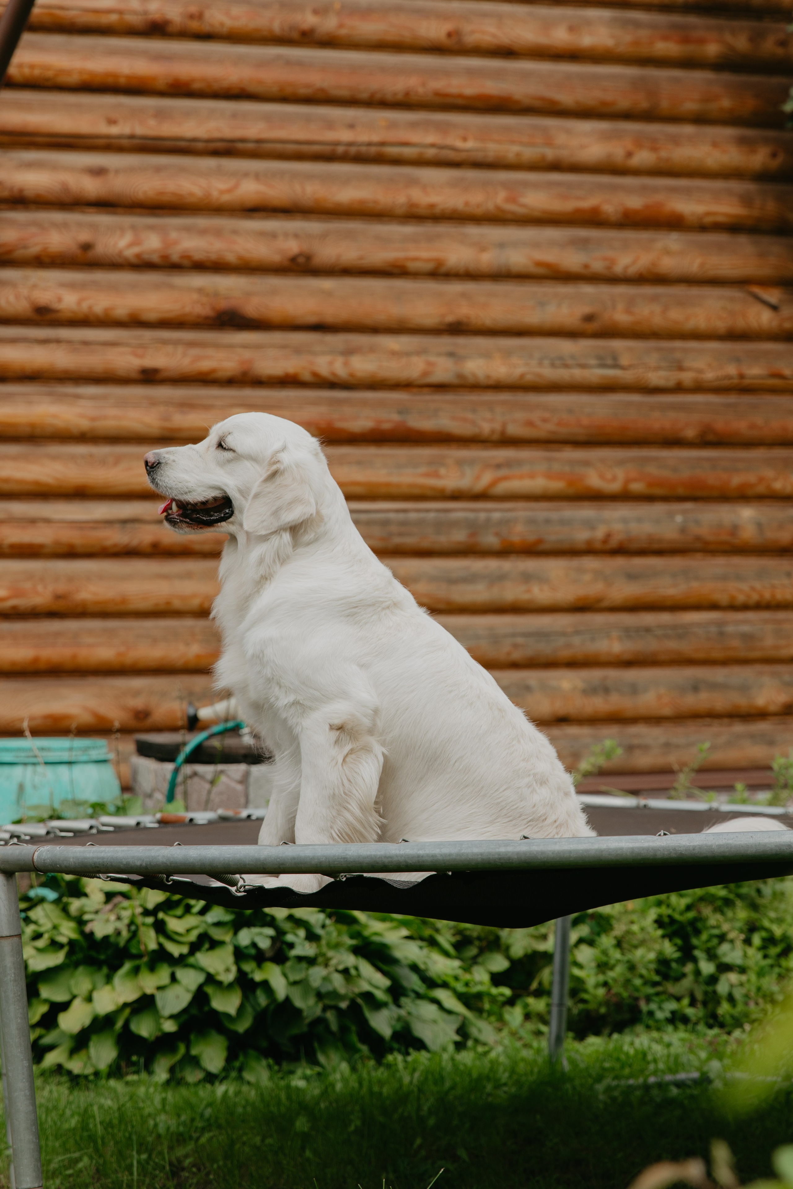 Катя+Миша. Я помогу запечатлеть радостные моменты Вашей жизни