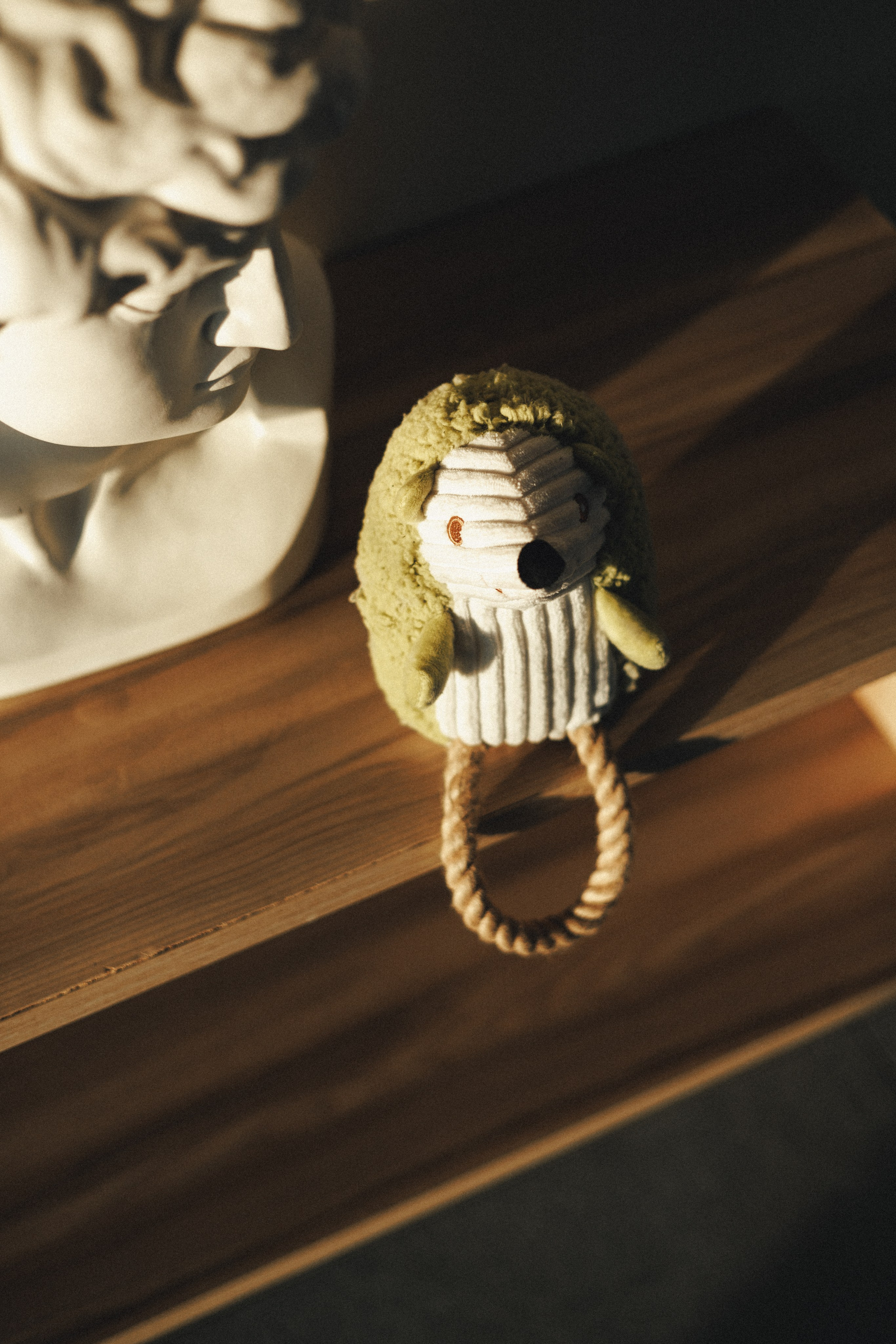 M-Pets. Фотограф анималист Осипчикова Мария