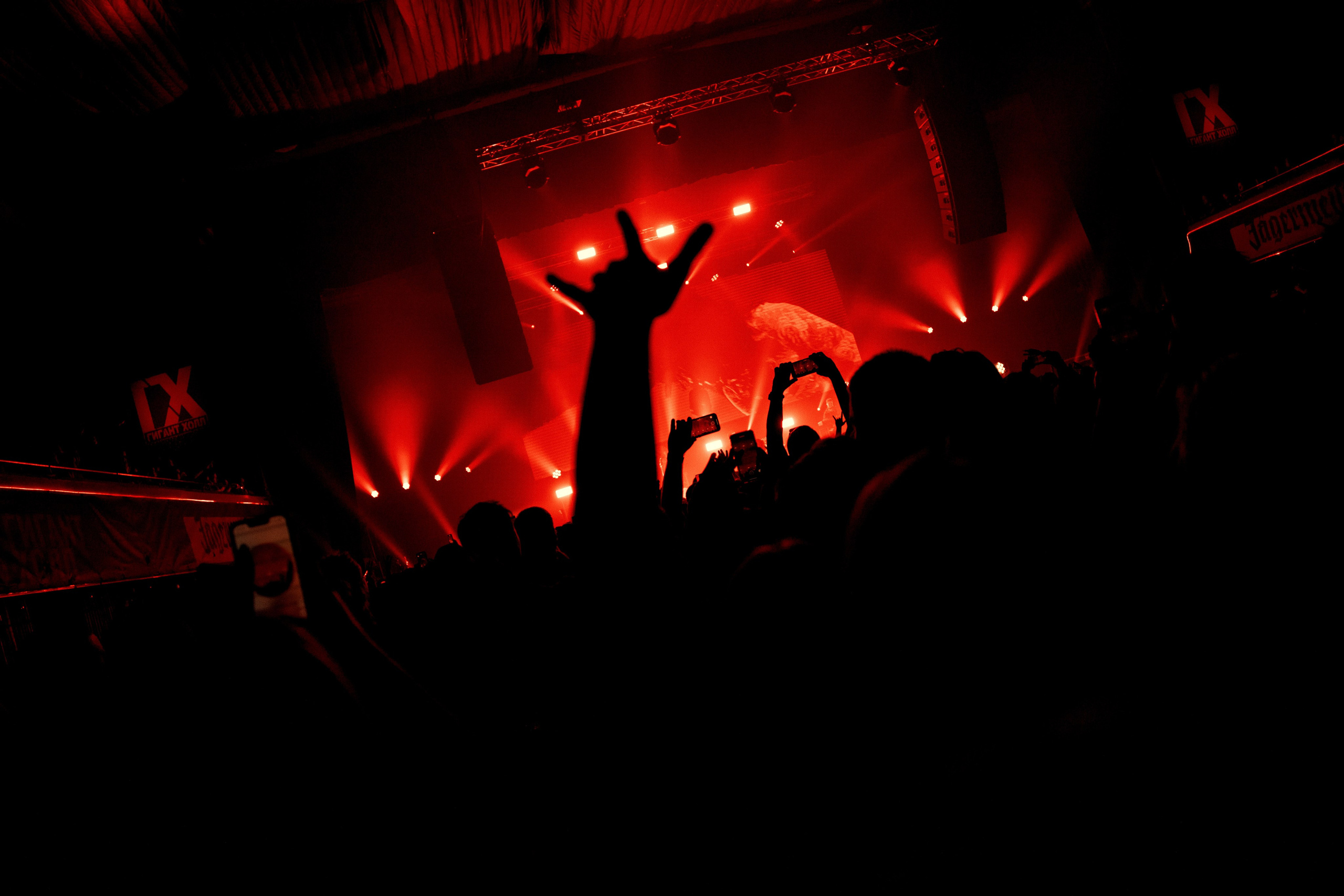 GREEN APELSIN. PASHAHARCE PHOTOGRAPHER & VIDEOGRAPHER