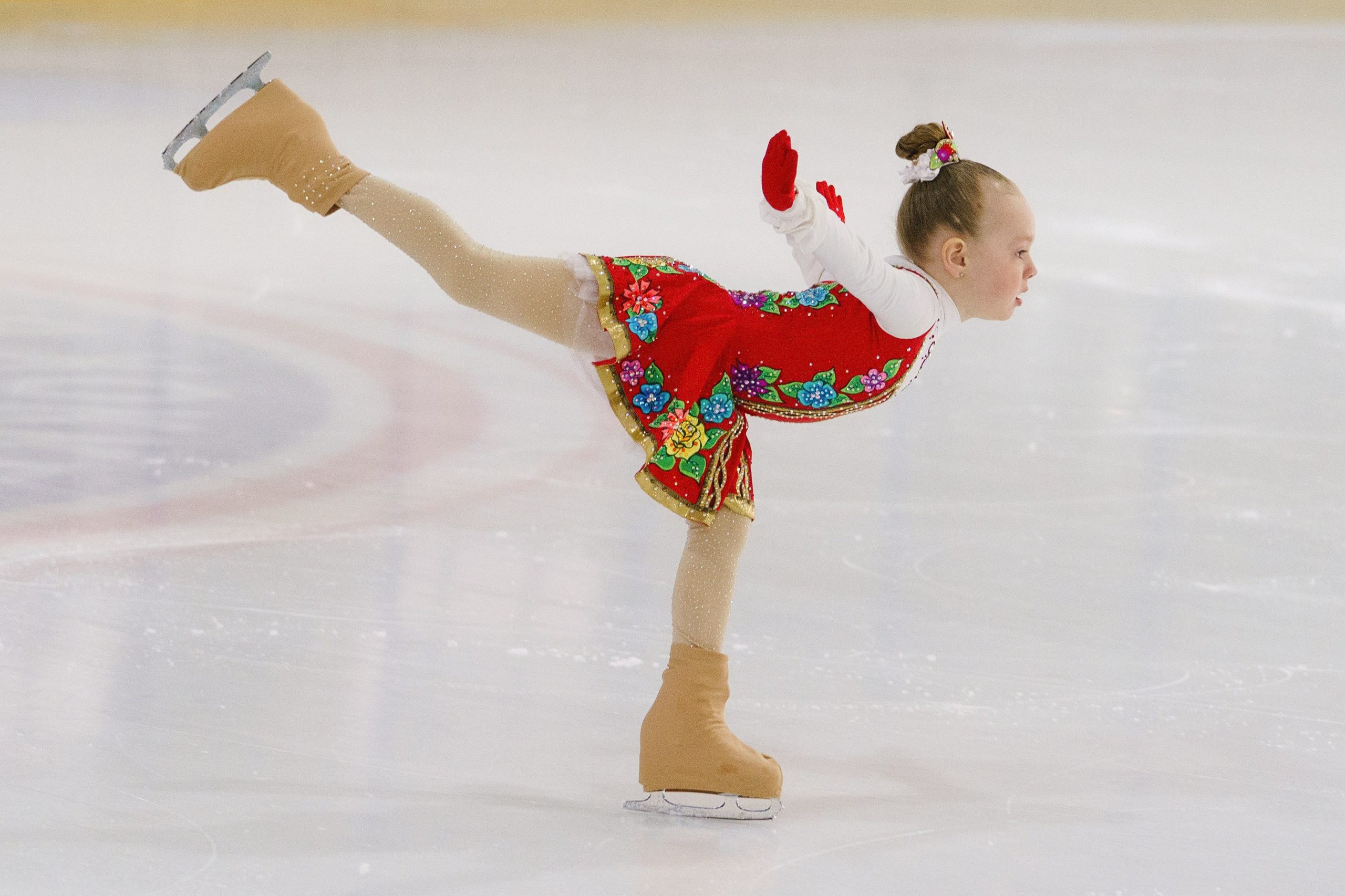 Соревнования ФКК «Майские звезды». Фотомастерская Воробьевых