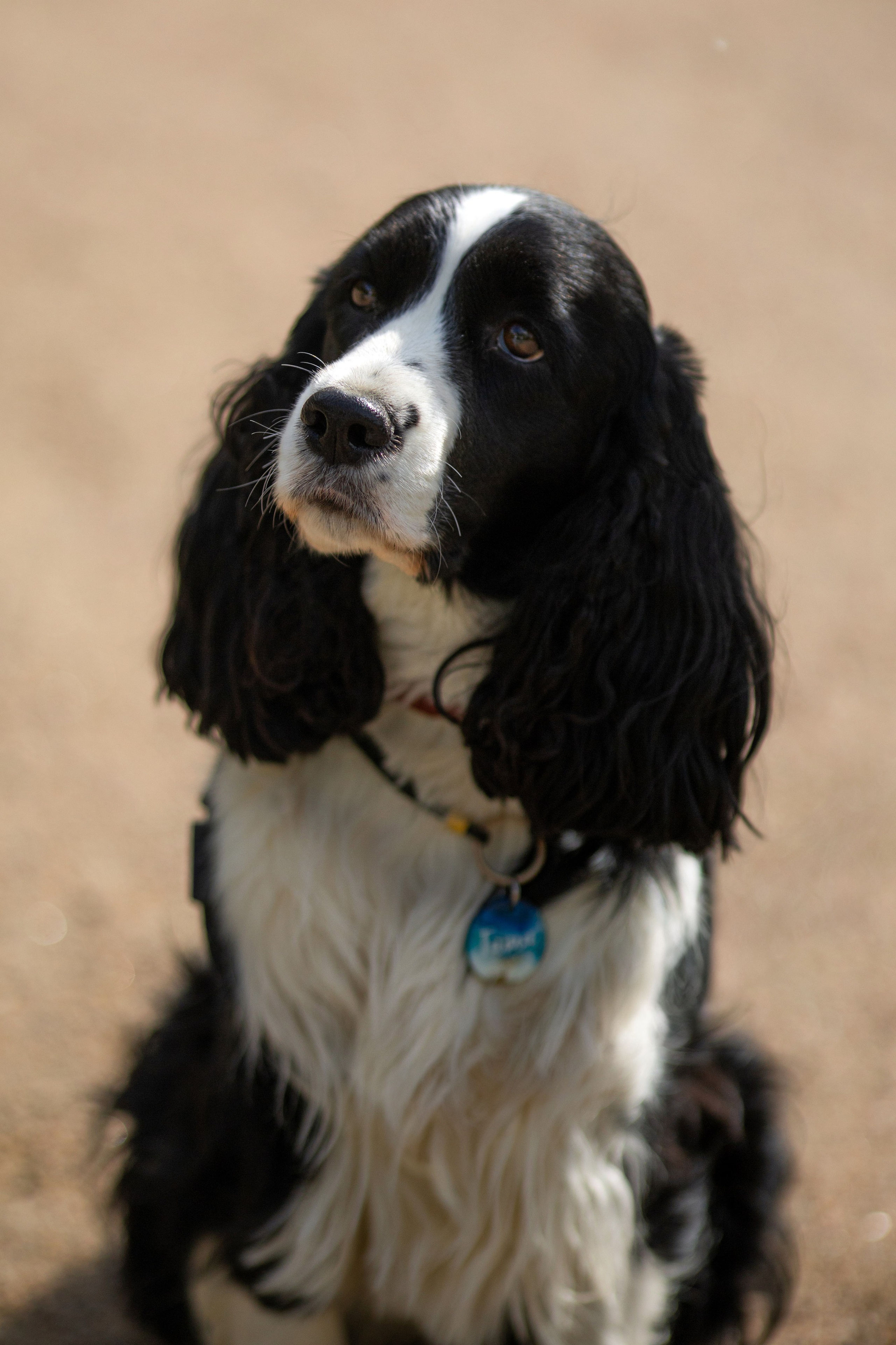 Таша. Художник и Фотограф Тимохина Юлия