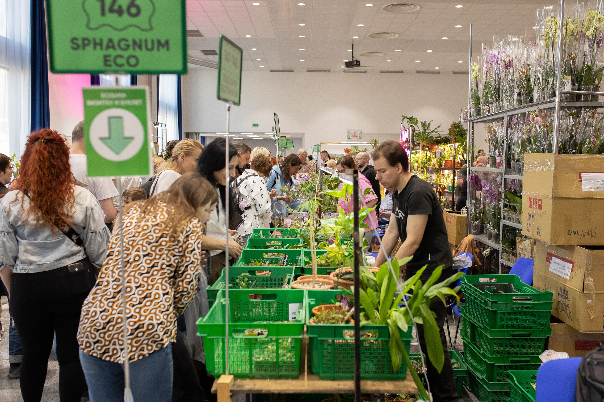 Орхидиум июнь 2024. Александра Куликова фотограф, Москва