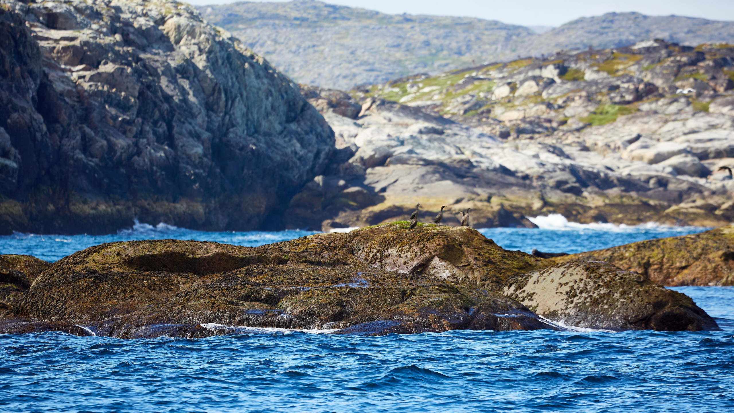 Баренцево море. Пейзажи Крайнего Севера. Баренцево море, Рыбачий, Средний, Немецкий