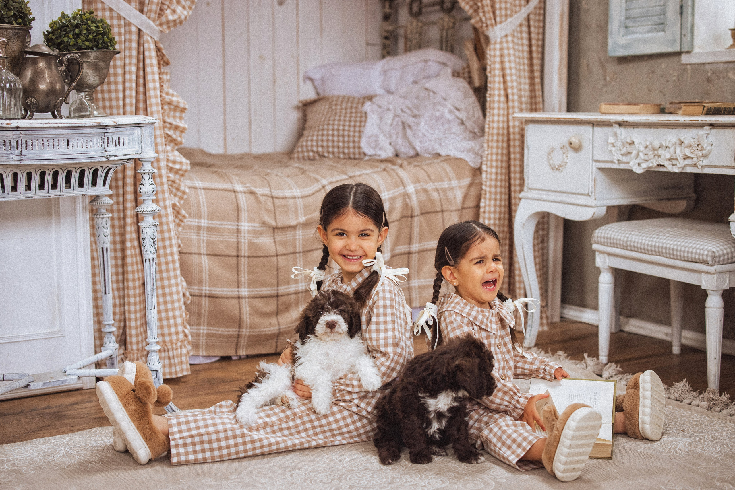 Фотосессия с щенками Лаго́тто-романьо́ло, в Винтажной фотостудии город Краснодар. Семейный и детский фотограф в Краснодаре Анна Трашкова