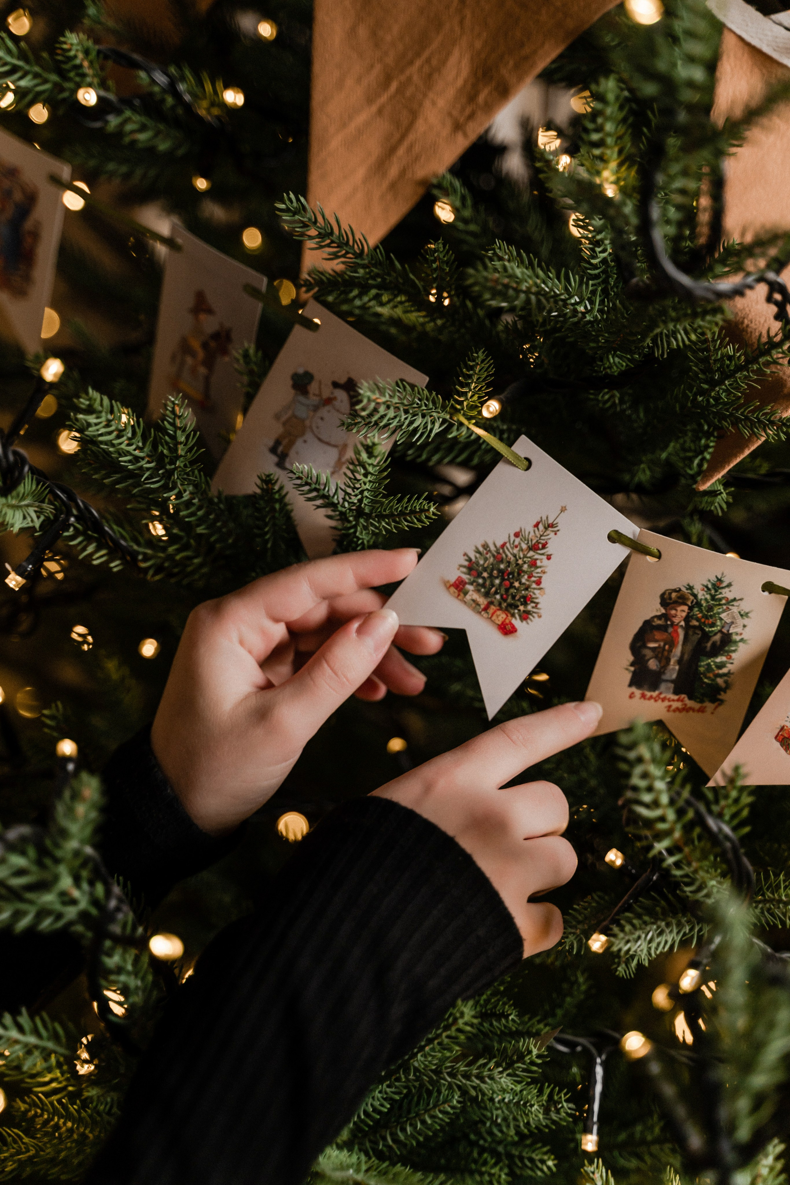 Студия Фрида. Фотограф Алина Филимонова Тверь