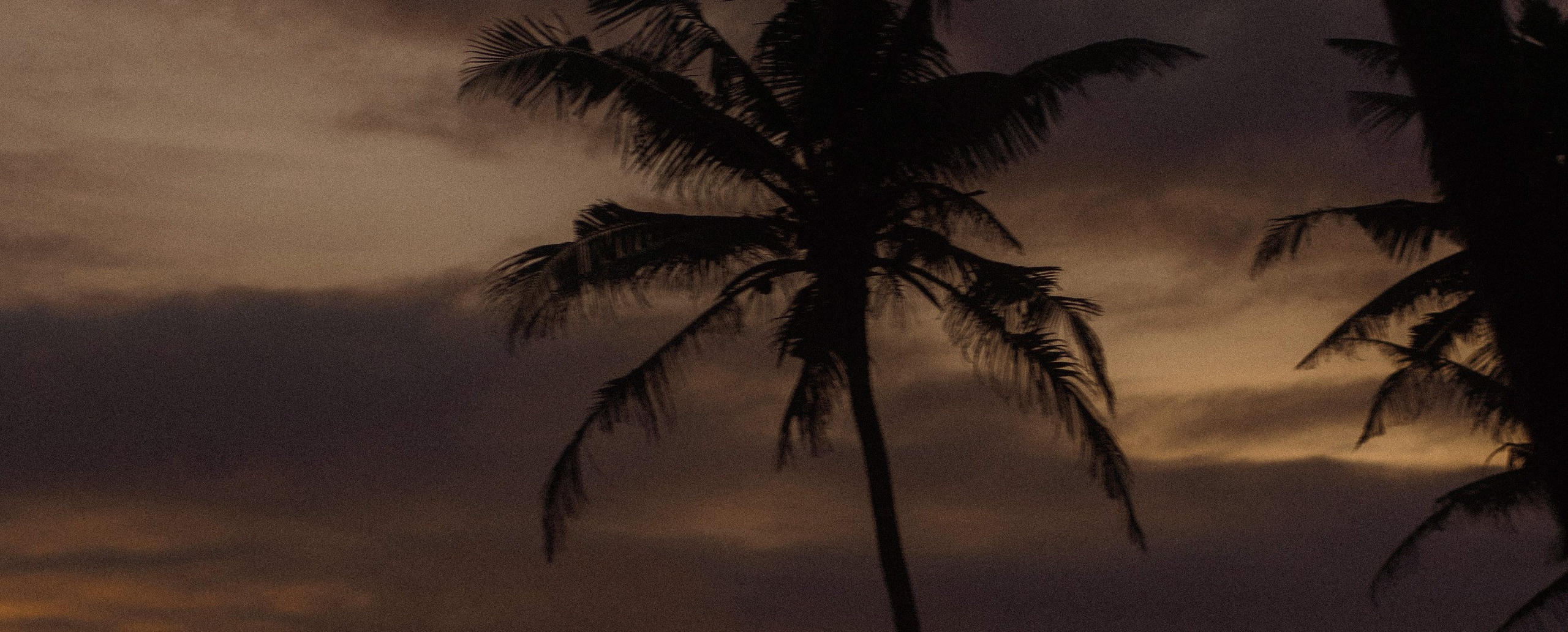 Шри Ланка. Свадебный фотограф Сочи Елена Казакова