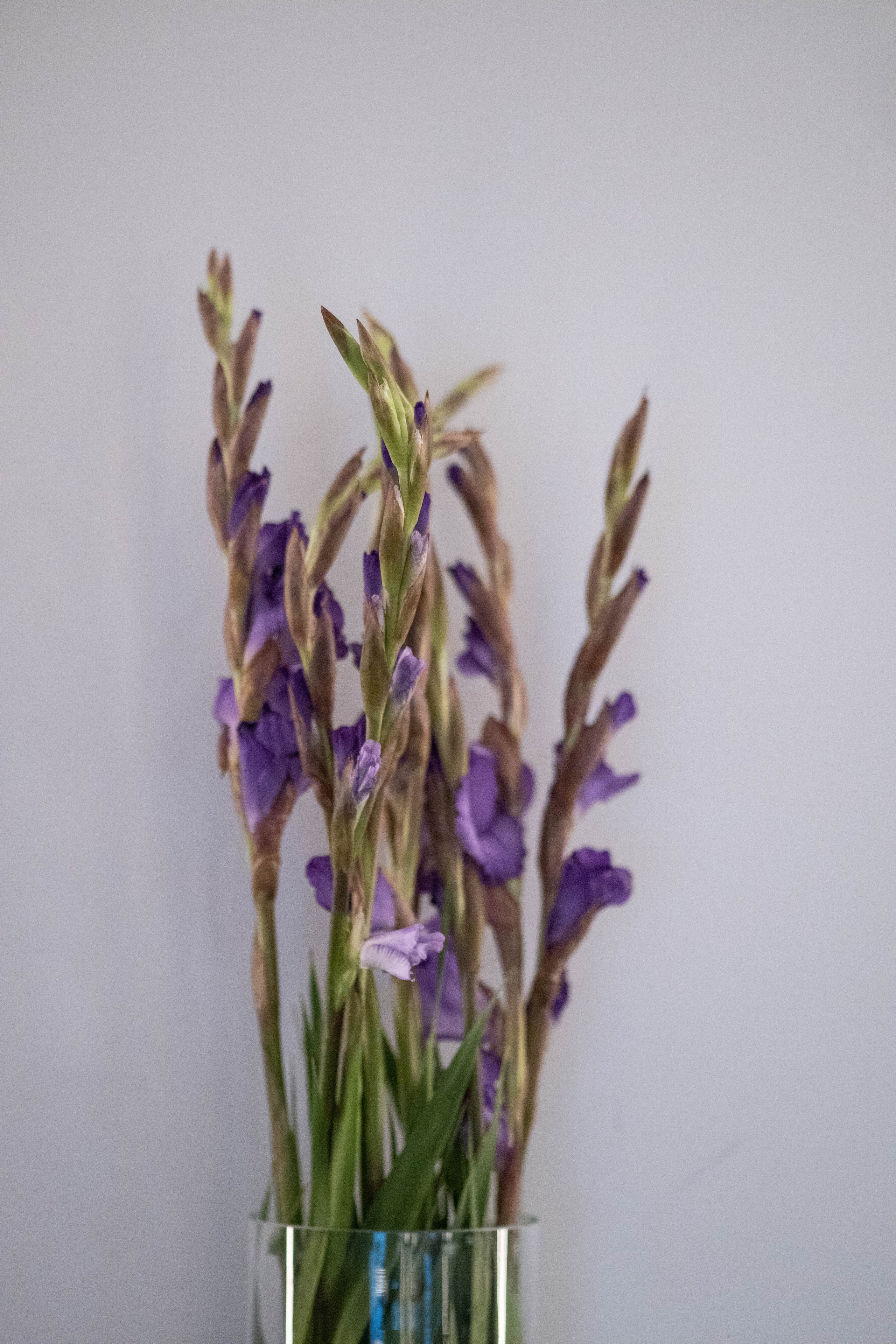 +39 Restaurants Italian. Innesapezzolini.ru