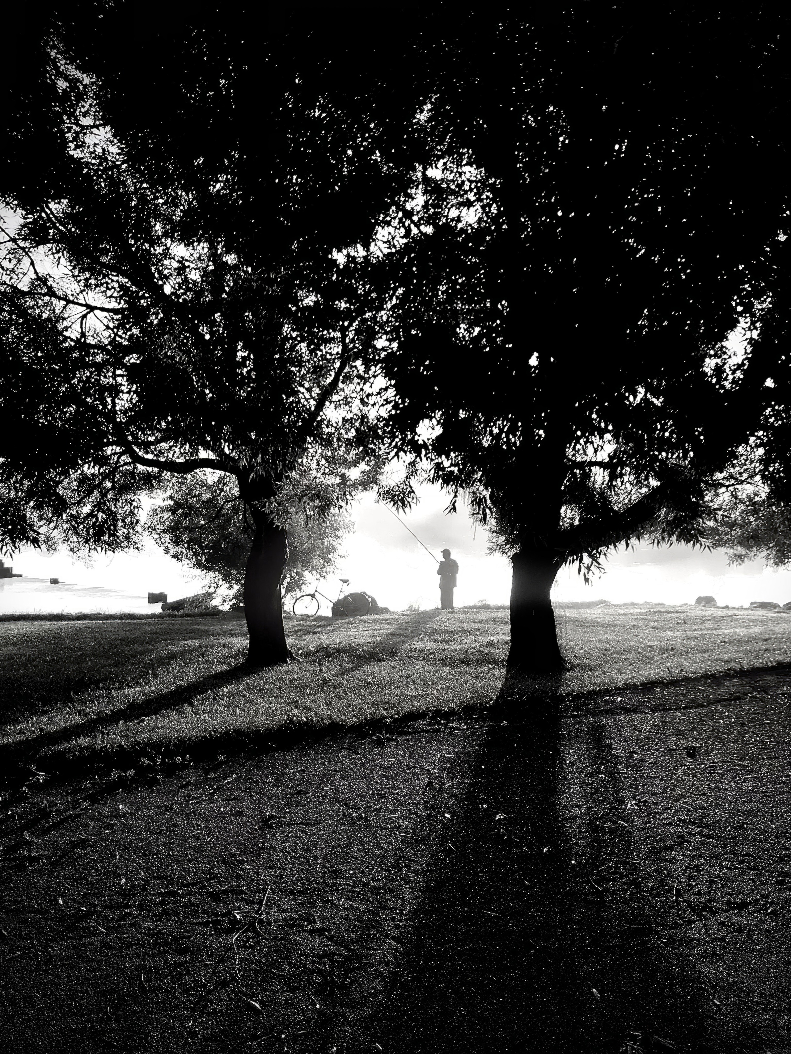 Решающий момент — авторская фотография Ма. Ма