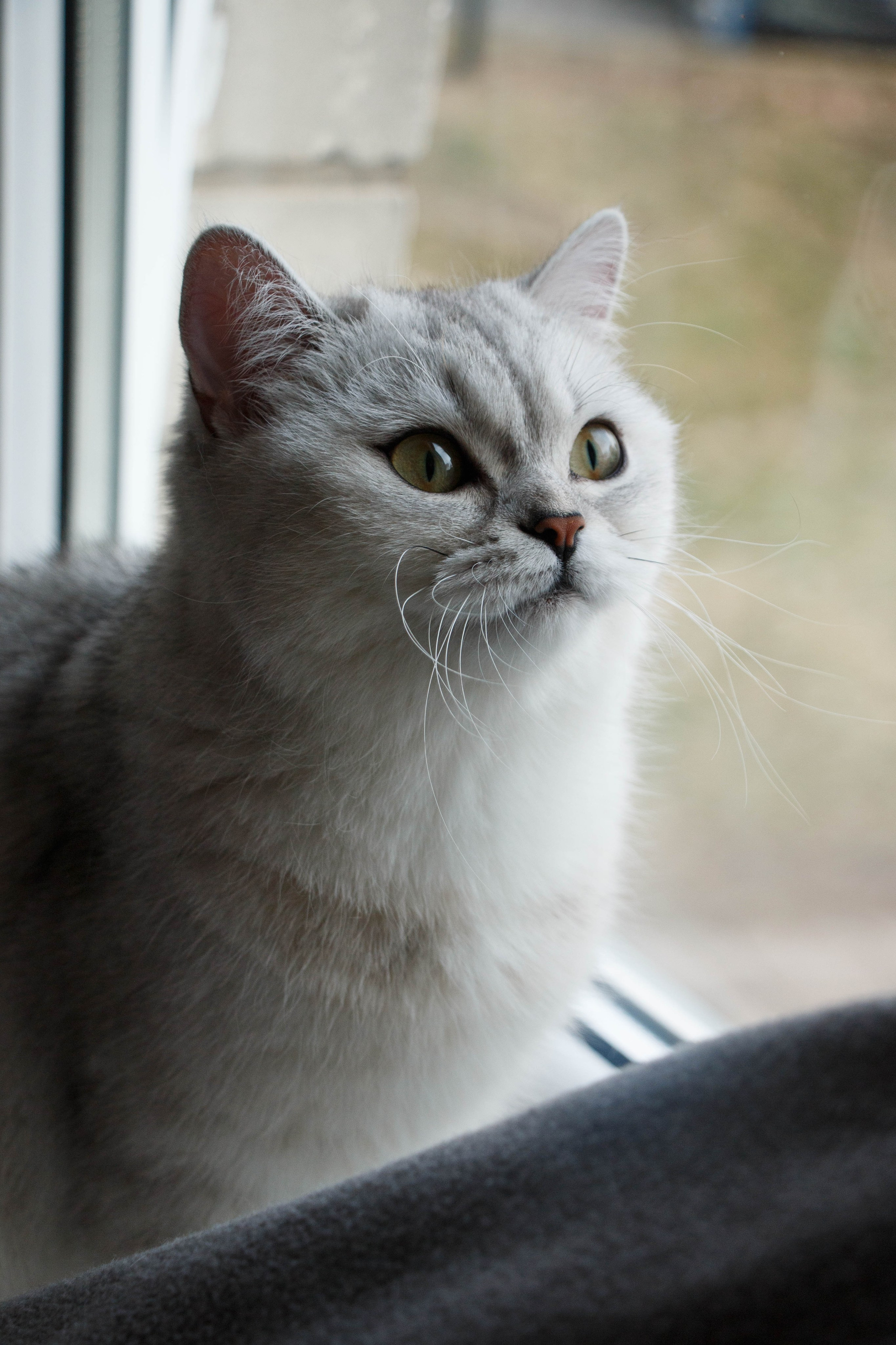 NASTYA & KITTI. Бережно сохраняю ваши чувства и истории на своих фотографиях