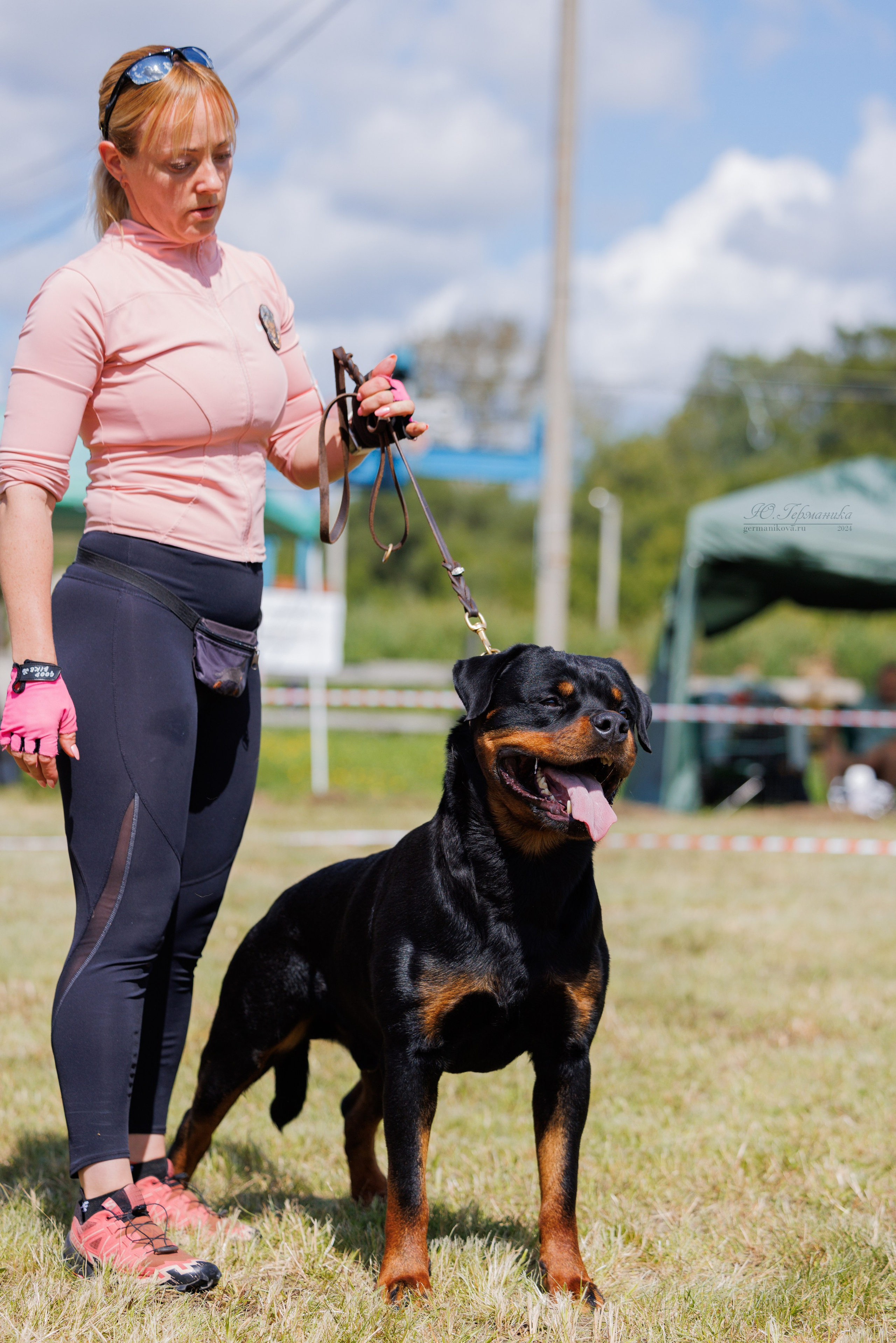Рязань-Ховрино 10-11.08.2024 3хмоно ротвейлеров. Фотограф-анималист Юлия Германика
