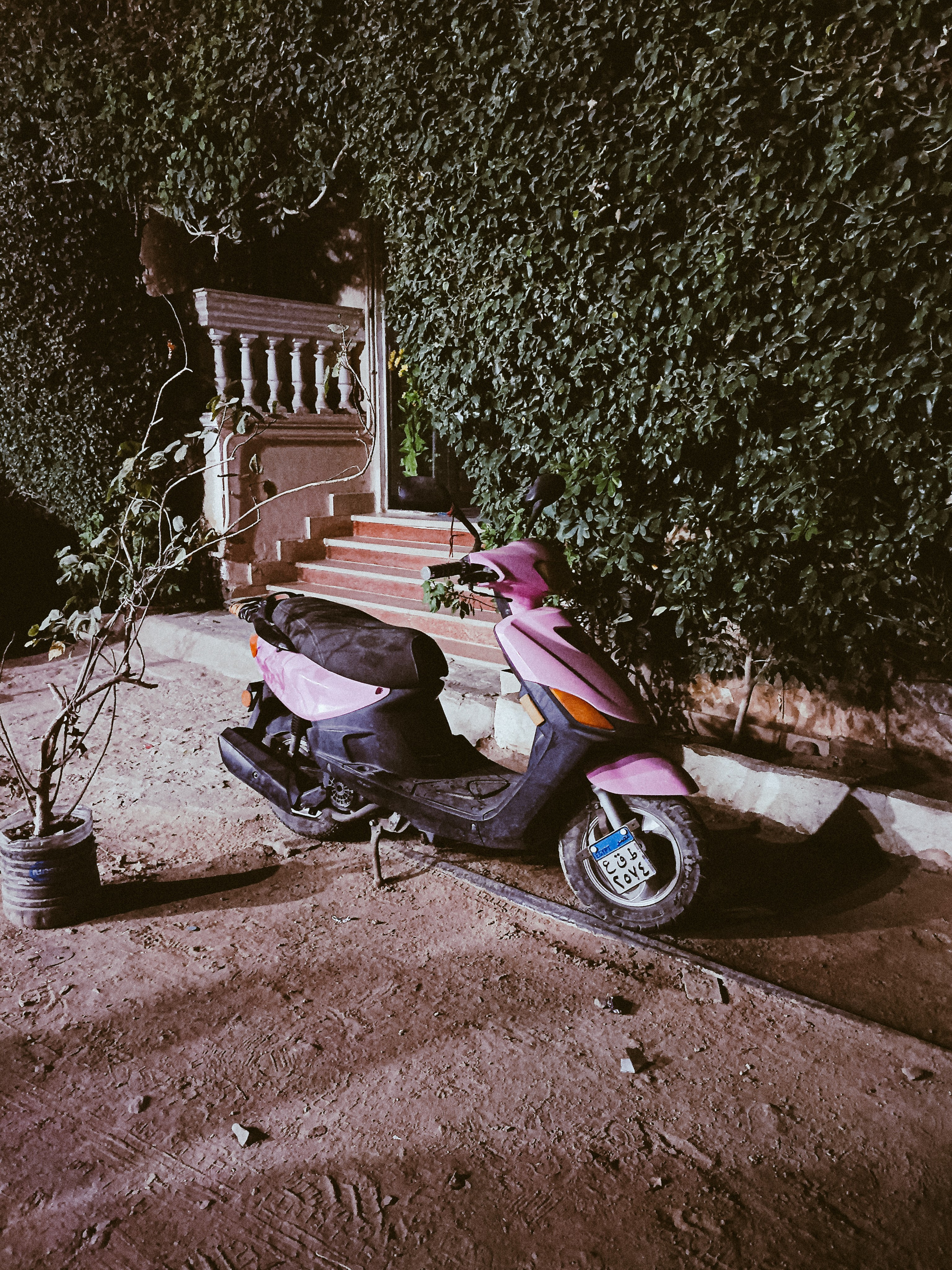 Мобильная. Jorgis — фотограф в Хургаде / обучение фотографии