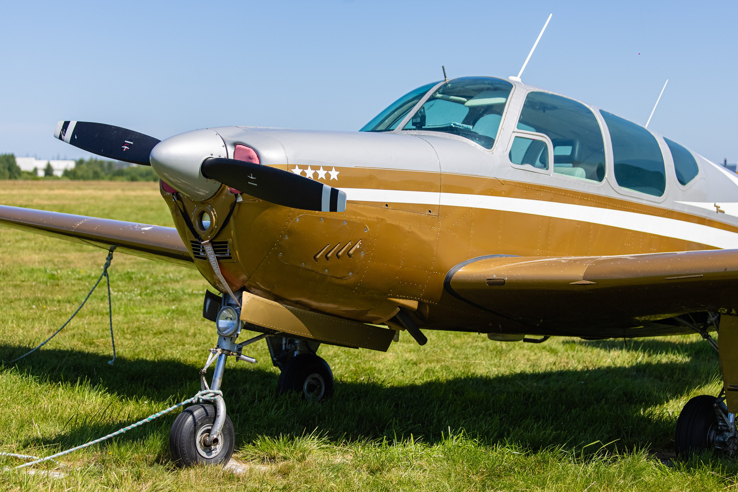 Крылья Пармы 2025 г. KATERINA VINOKUROVA ФОТОГРАФ ПЕРМЬ