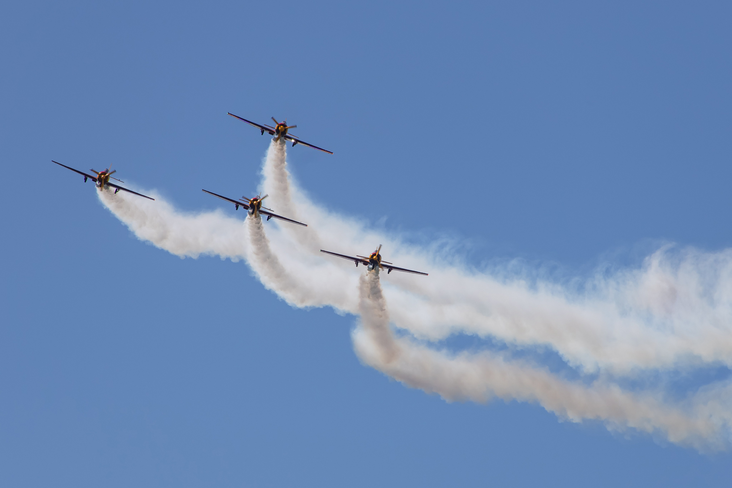 Крылья Пармы 2025 г. KATERINA VINOKUROVA ФОТОГРАФ ПЕРМЬ