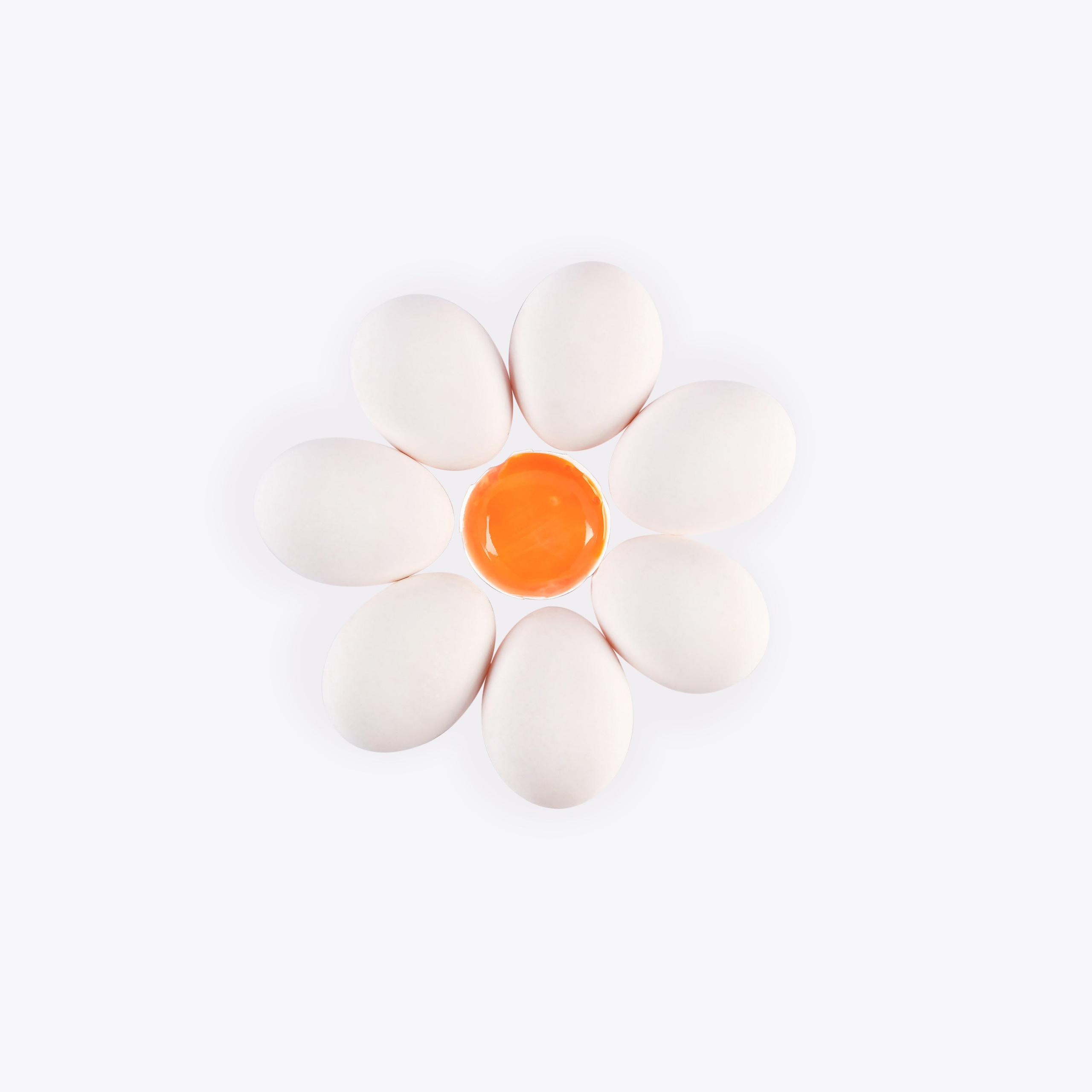 Имиджевое фото яиц