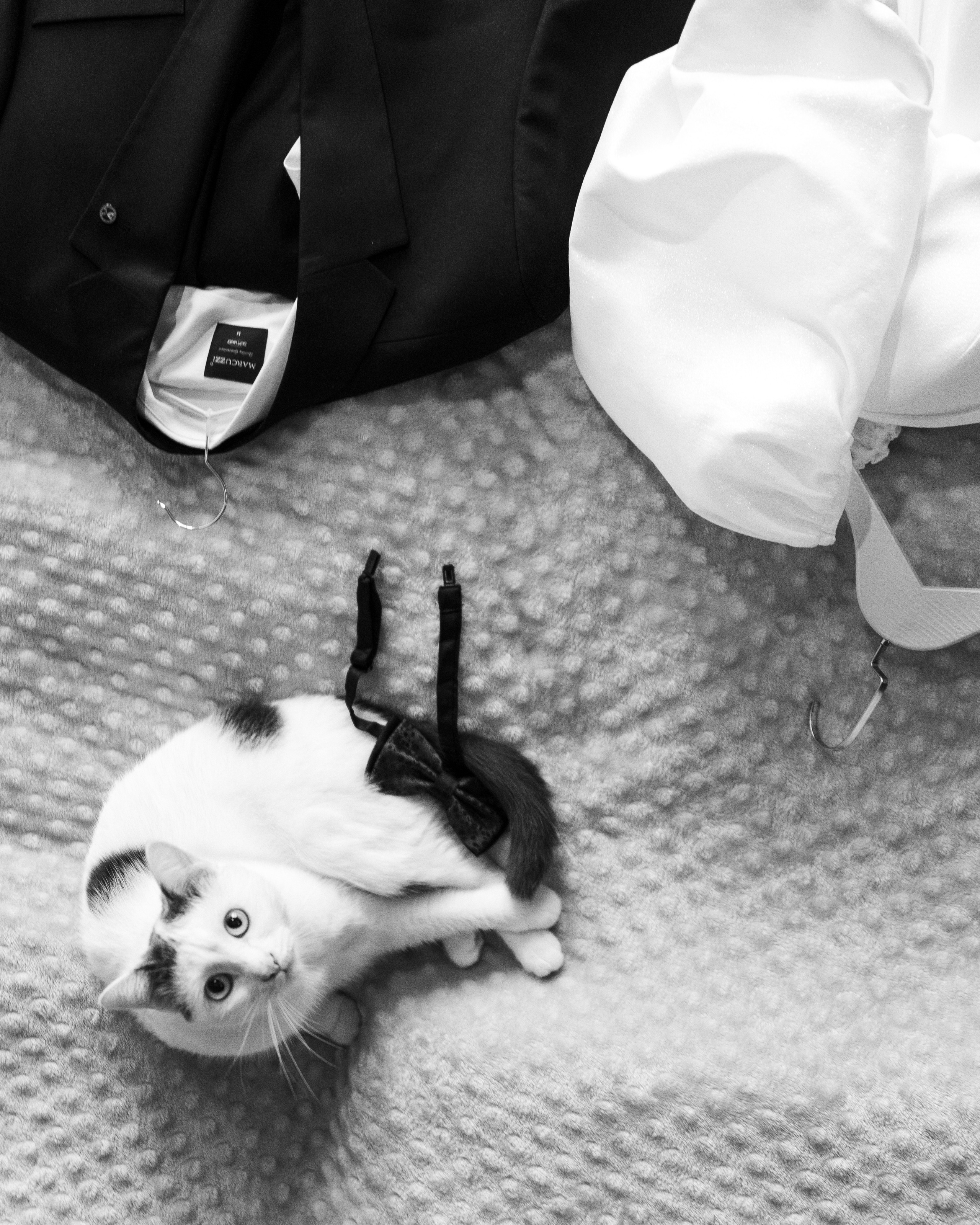 TOMIRIS|AZAMAT. Свадебный фотограф в Астане Асанали Балтахан