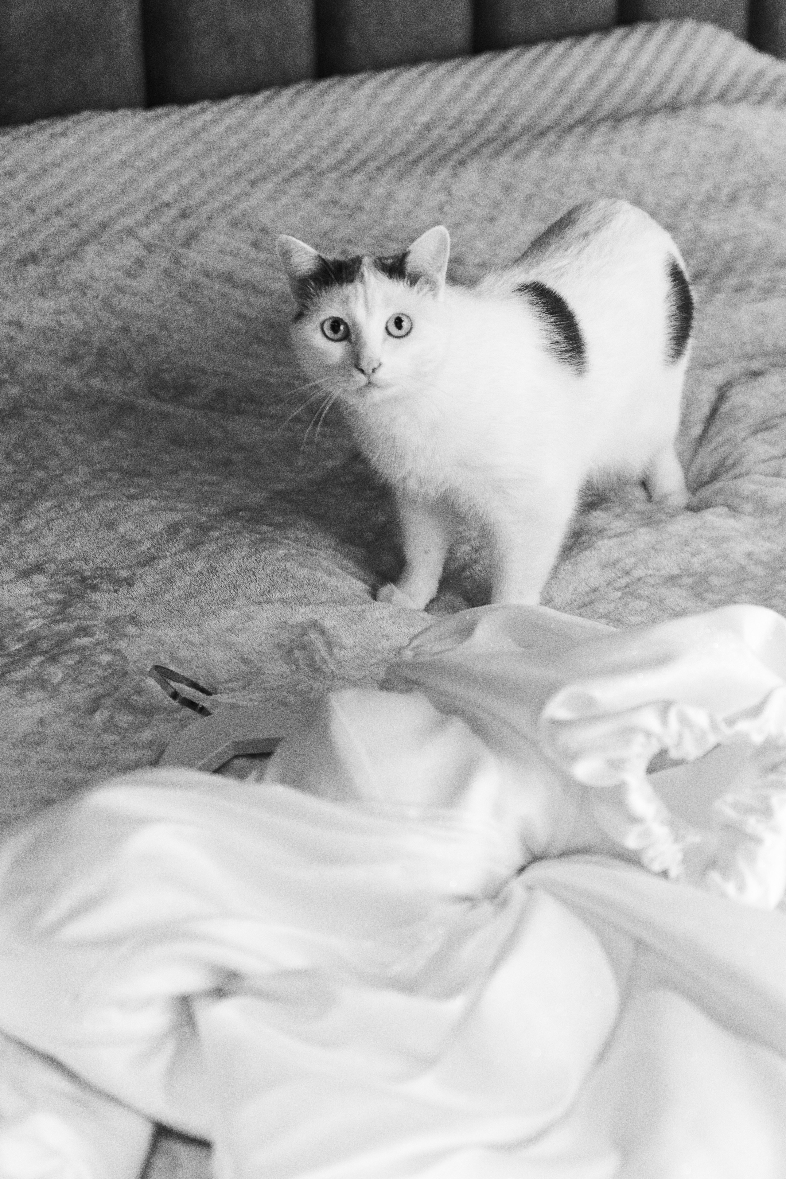 TOMIRIS|AZAMAT. Свадебный фотограф в Астане Асанали Балтахан