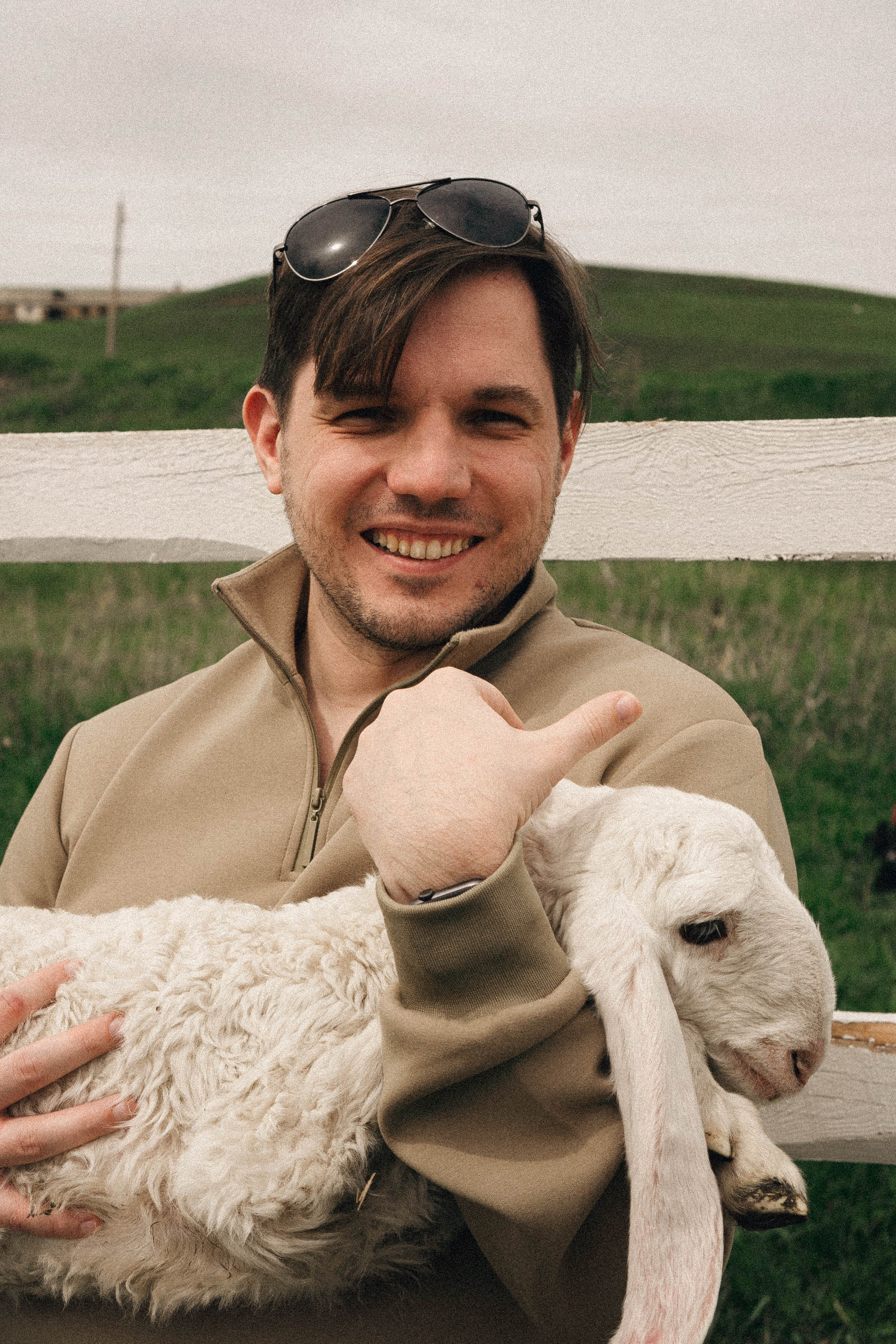 Ферма Альпак. Профессиональный фотограф, Санкт-Петербург — Виктория Богомолова