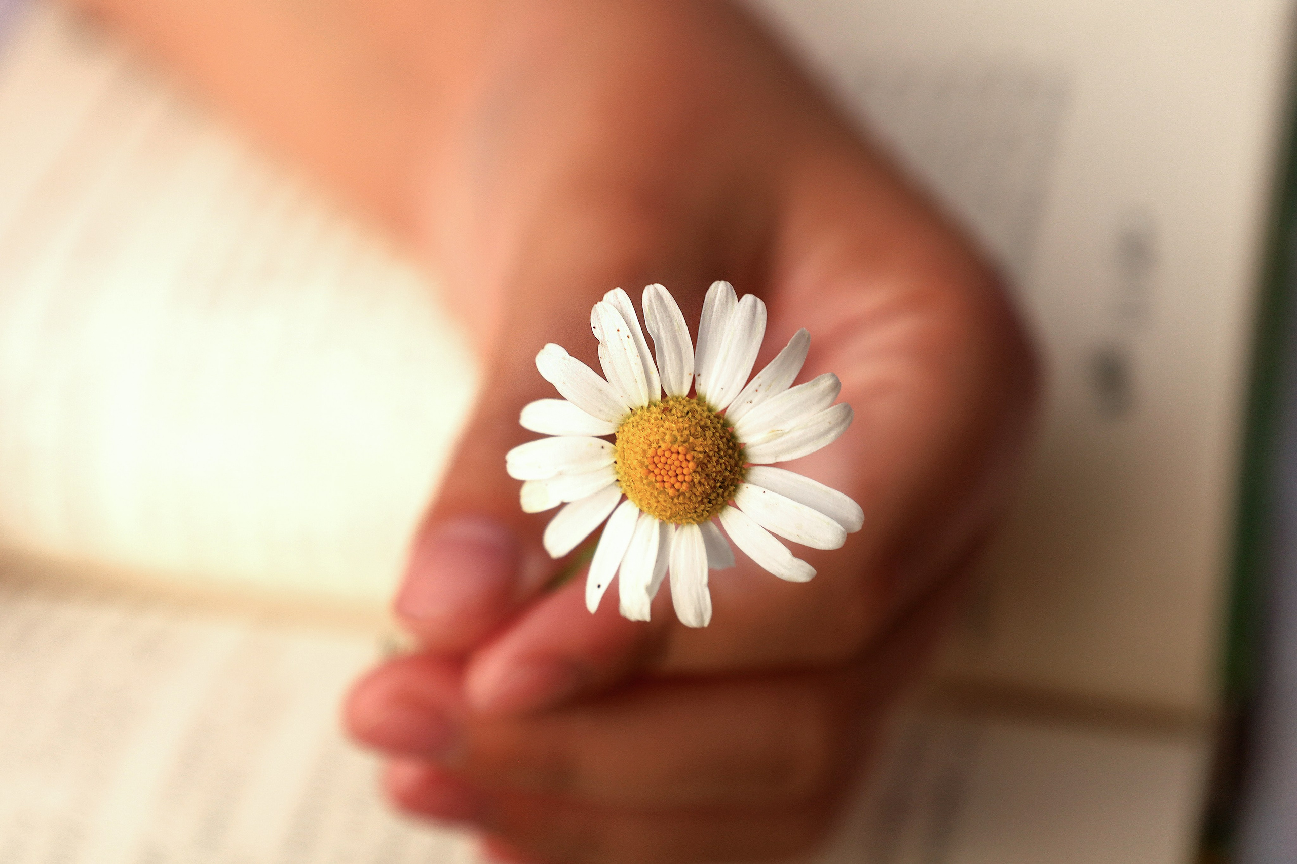 Арбузный пикник. Фотограф Саратов | Елизавета Белова