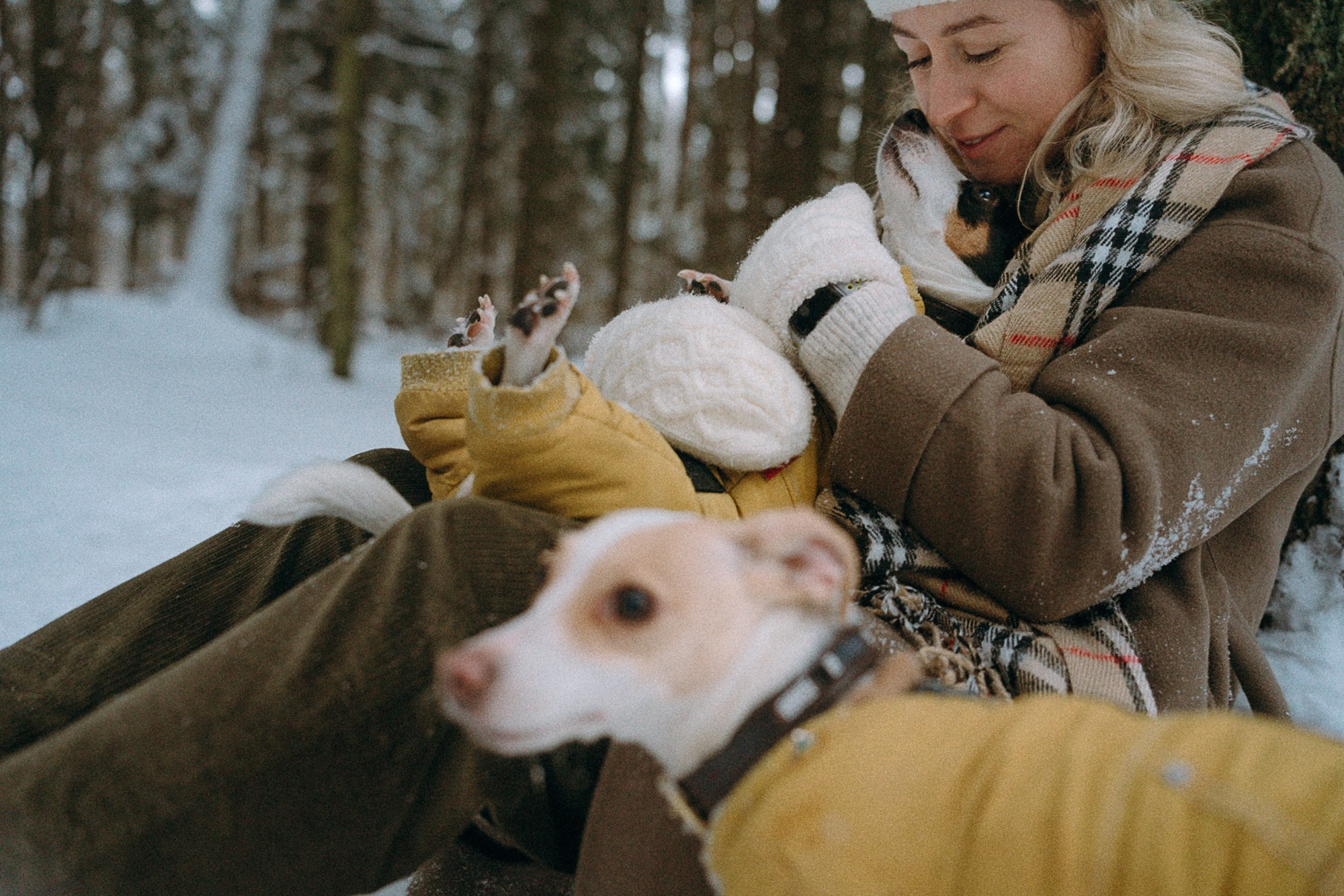 Алина, Ваниль и Элис. Фотограф анималист в Москве и Санкт-Петербурге Свиридова Анна