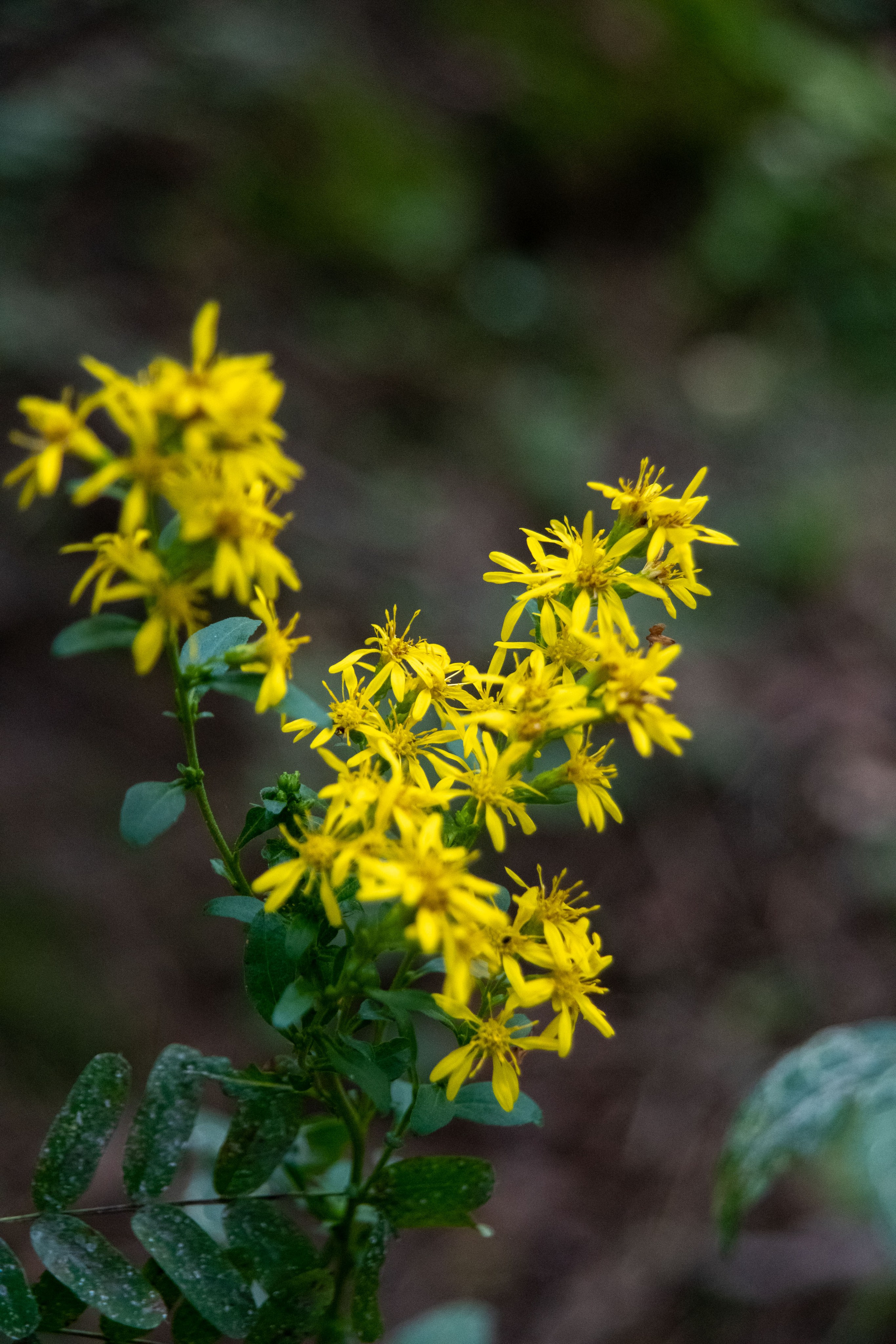 Нутриевая ферма. Большакова Полина — фотограф в Туле