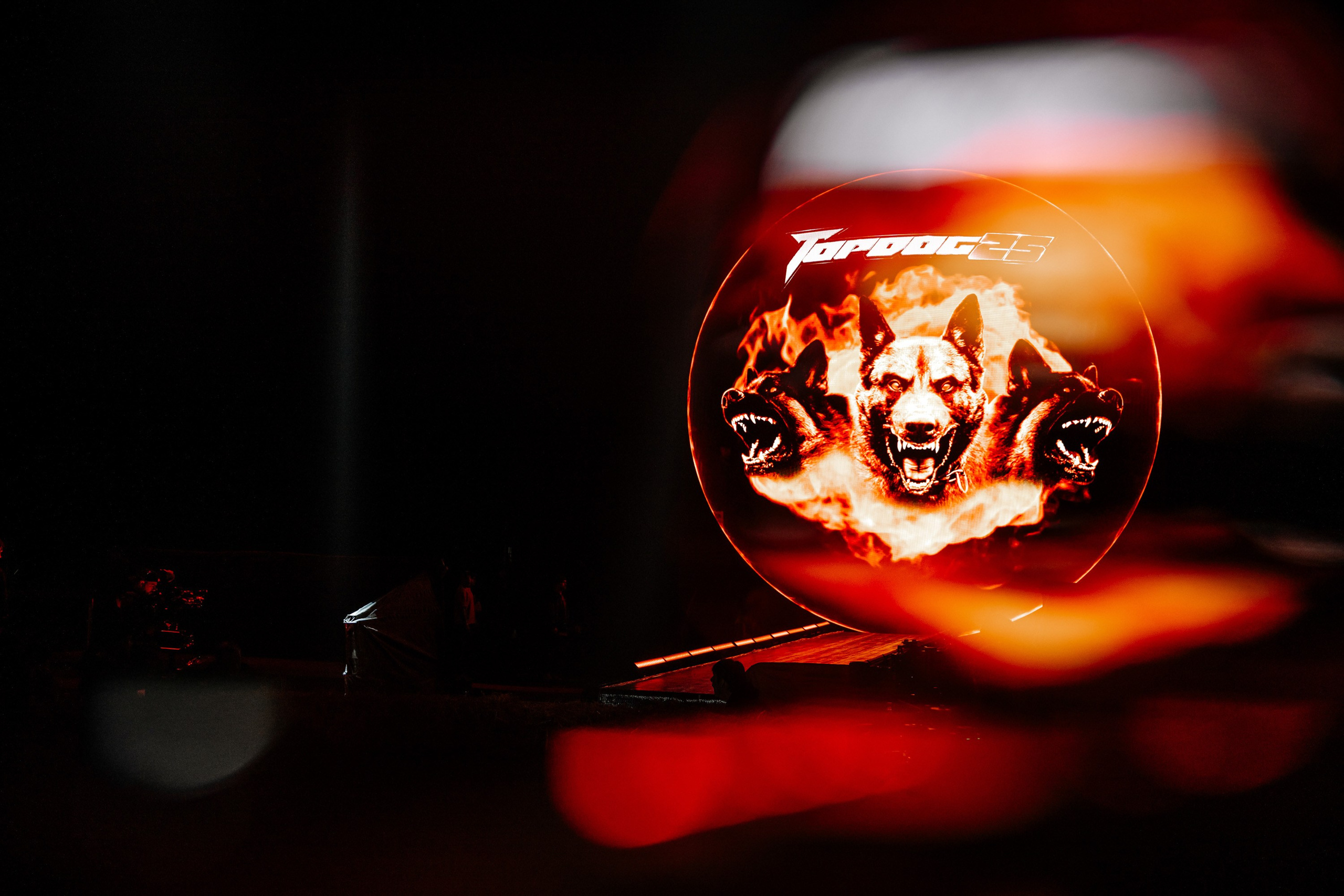 TOP DOG. Максим Комаров — Профессиональный фотограф