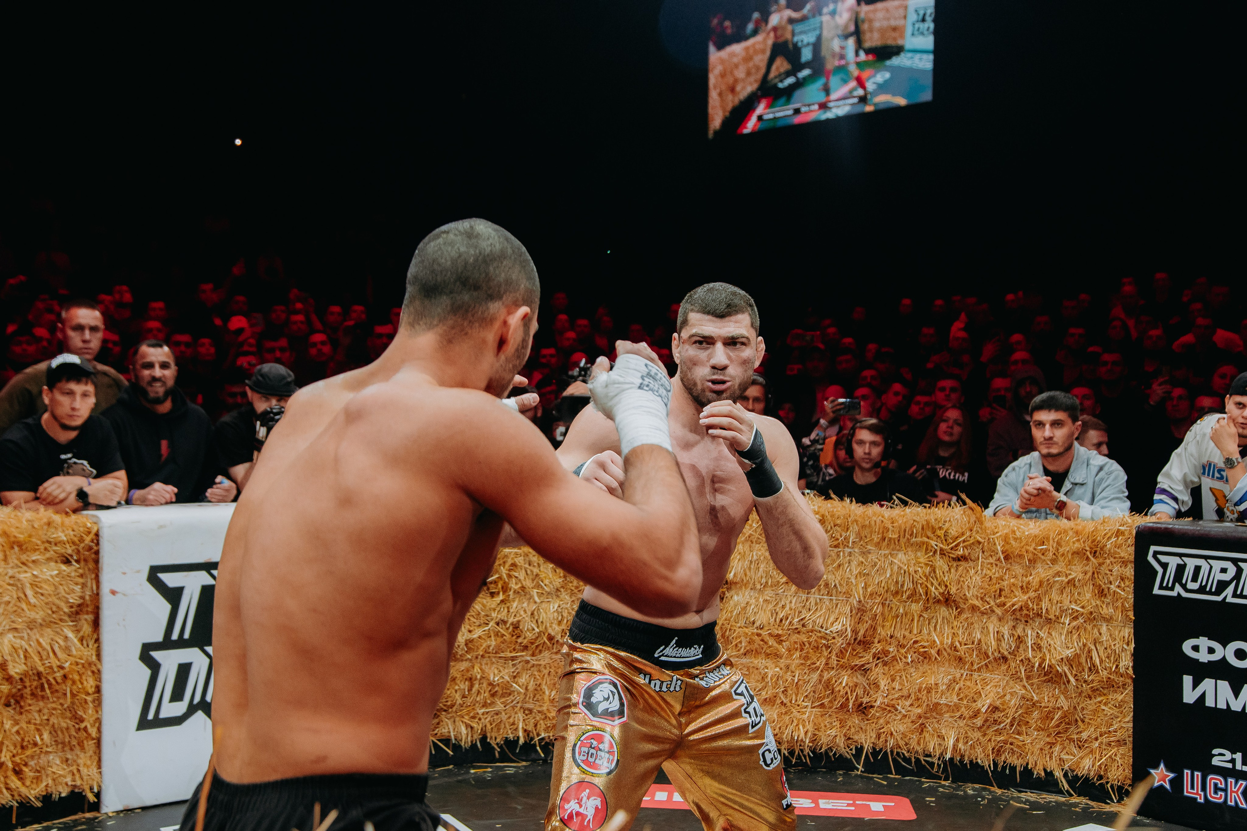 TOPDOG — 32. Фотограф в Саратове Александр Кухаренко. И не только в Саратове :)