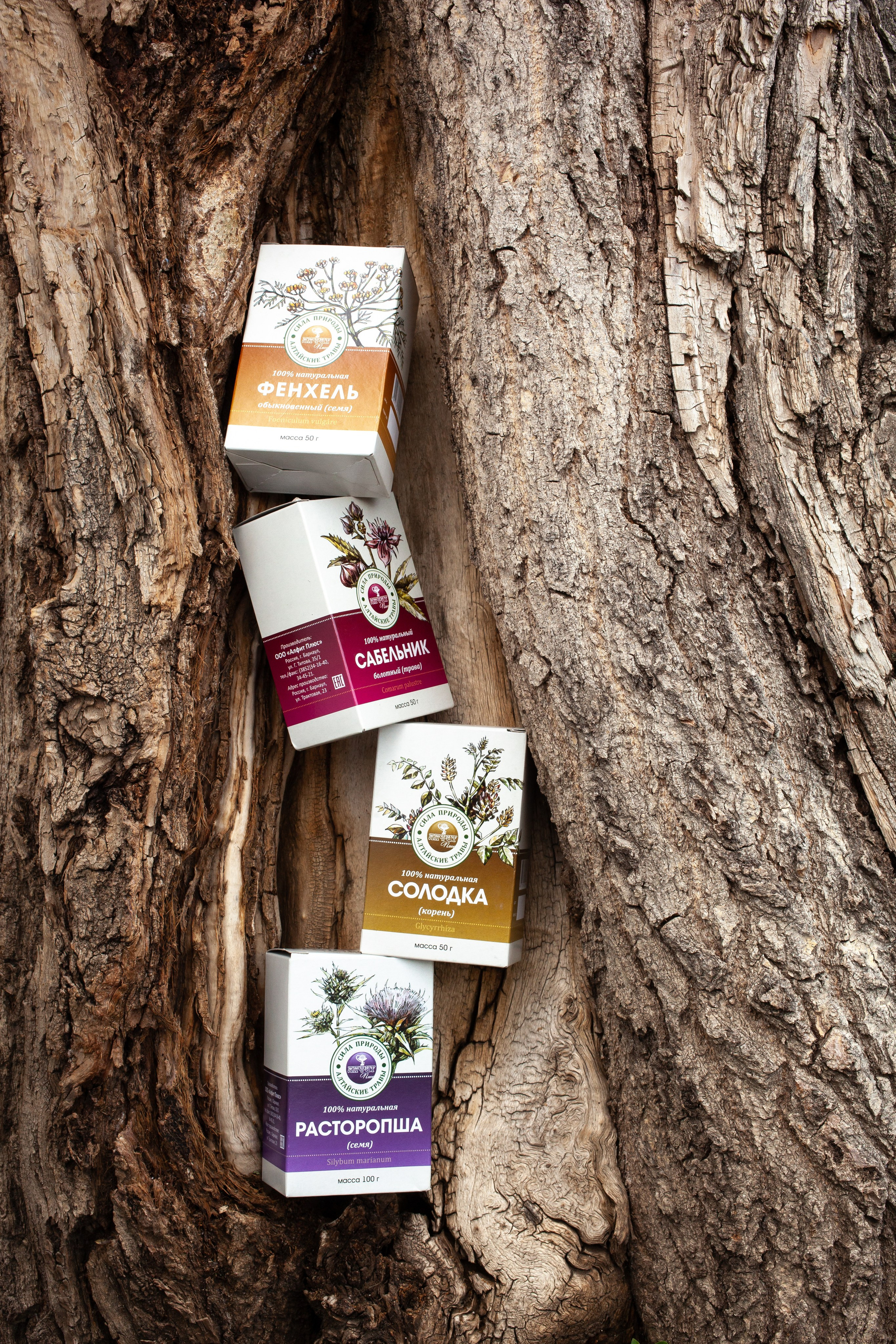 Алфит Плюс 08.08.2025. Юлия Василенко, Профессиональный предметный рекламный фотограф Барнаул, Алтай, и по всей России онлайн